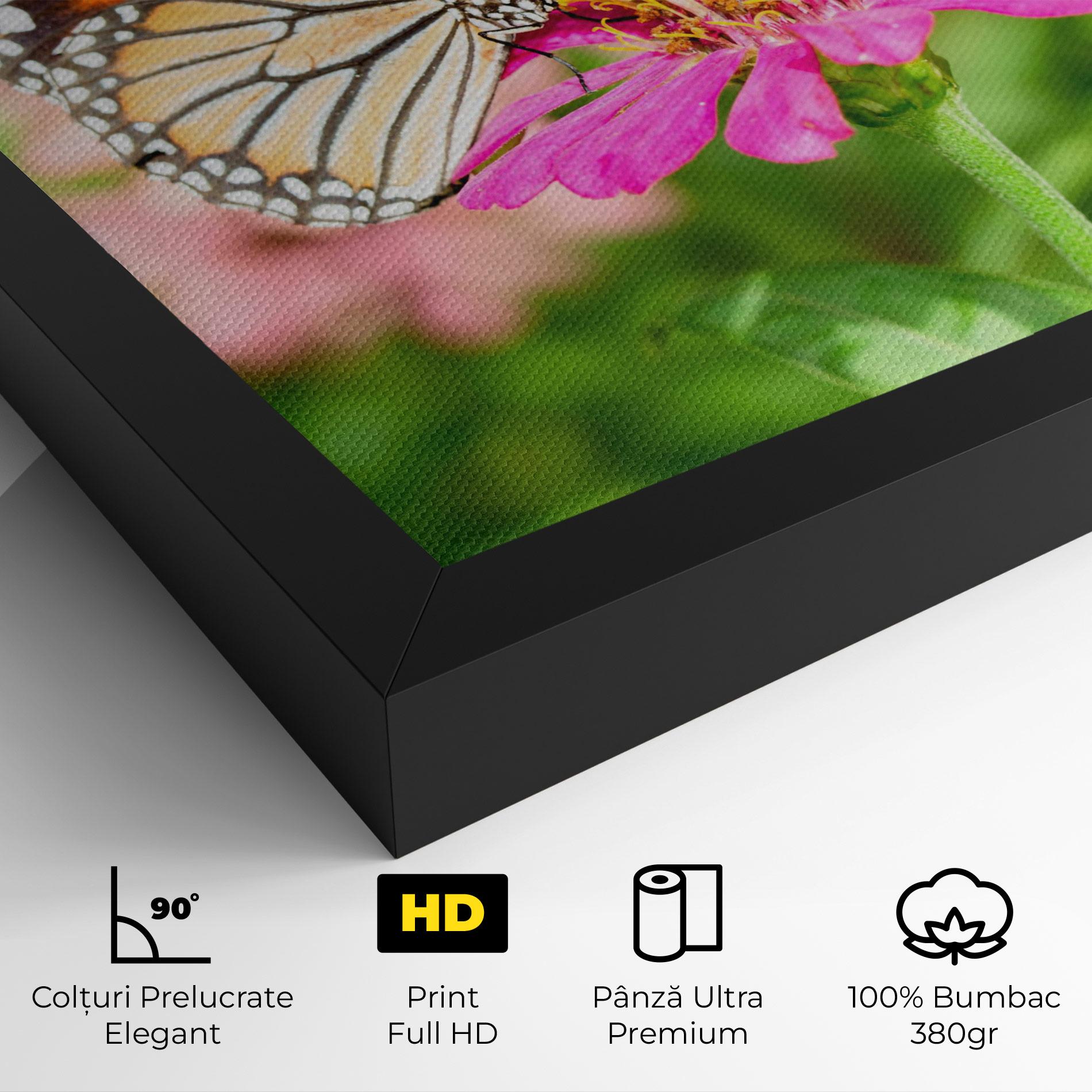 Tablou Canvas Daylight Butterfly mockup 4