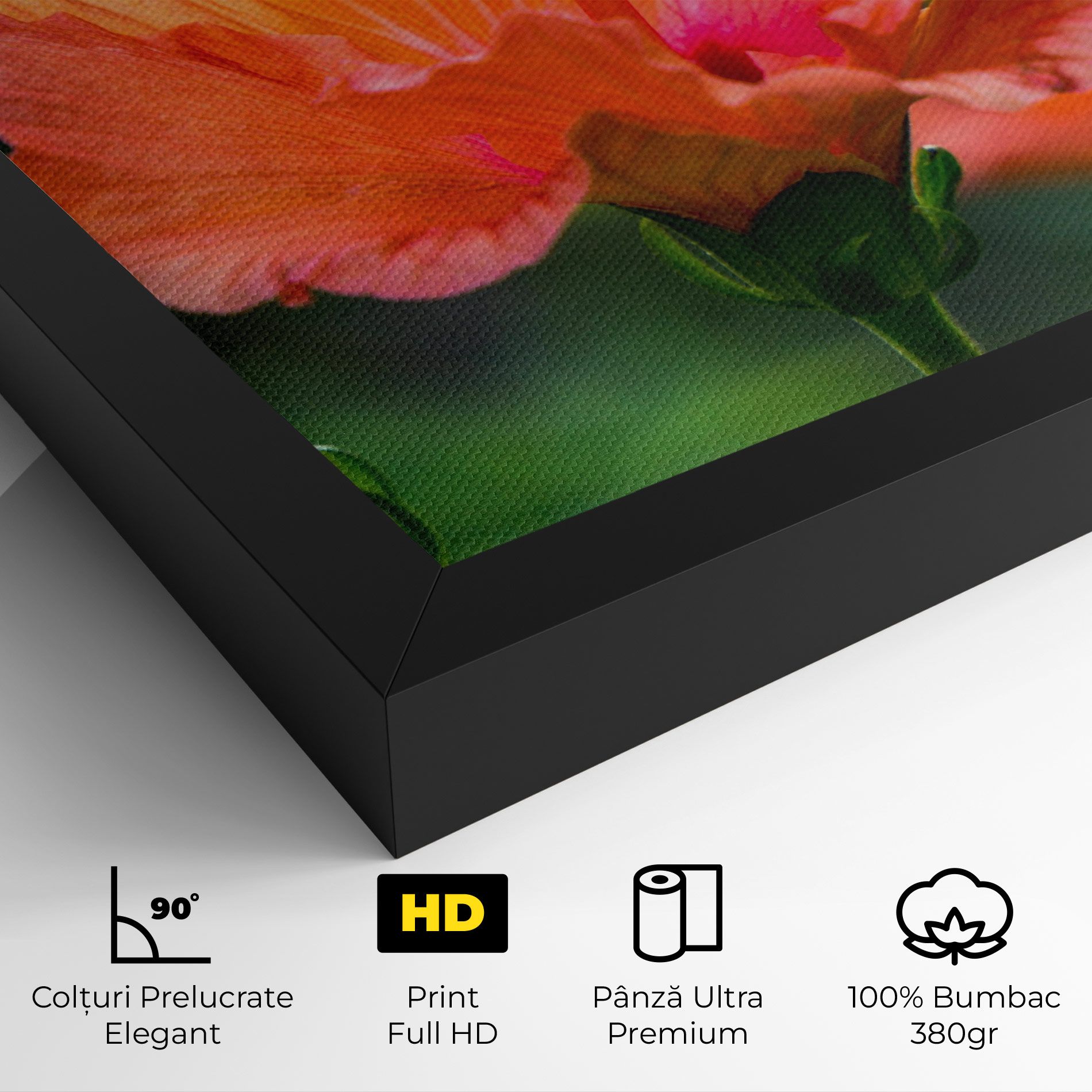 Orange Wild Flower mockup 4