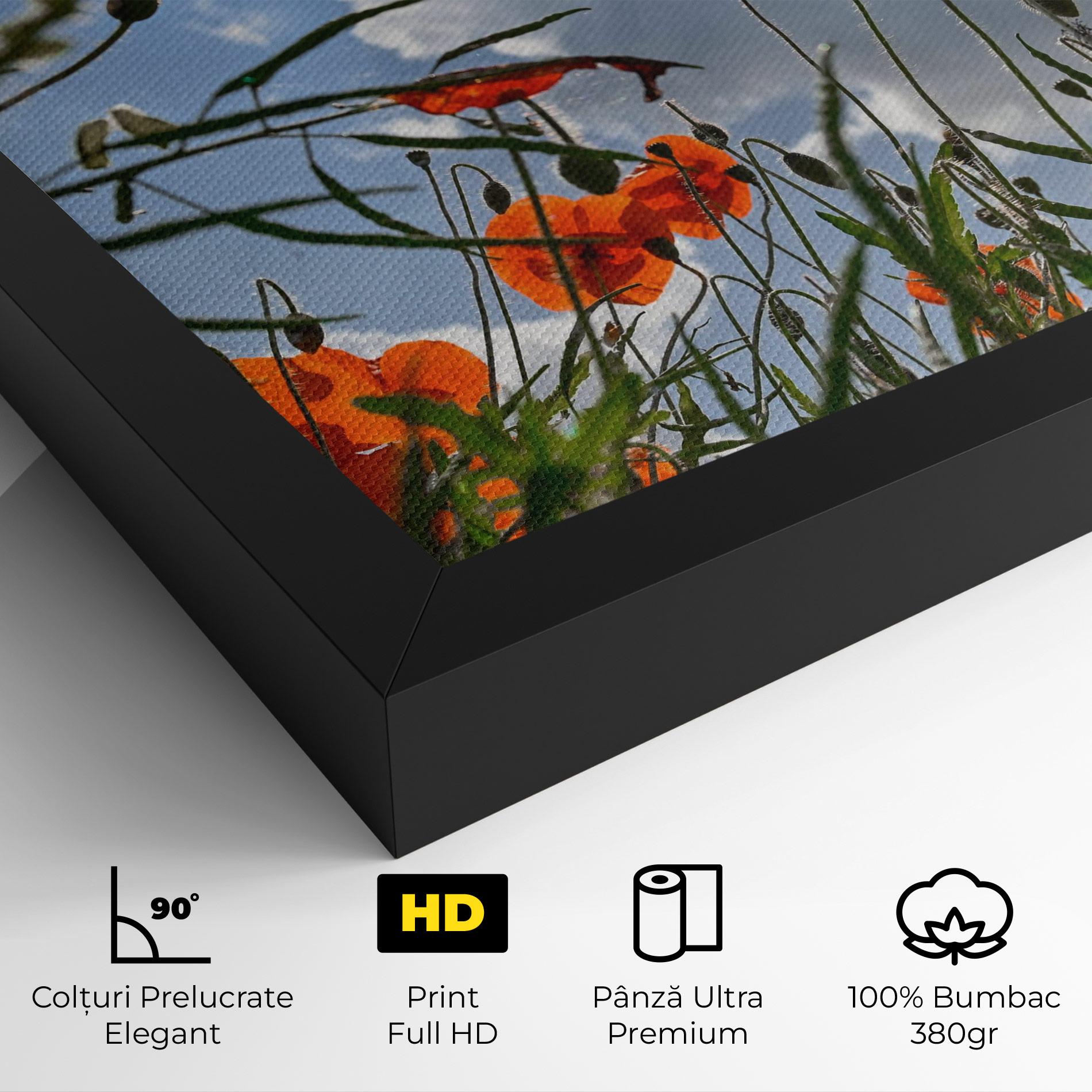Tablou Canvas Wild Poppy Daylight mockup 4