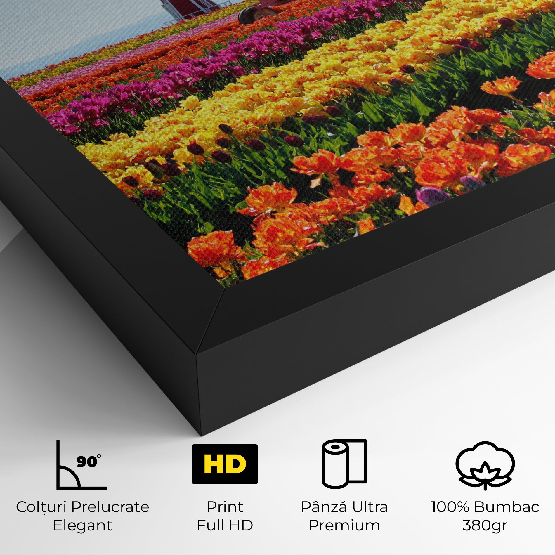 Working Wild Field mockup 4