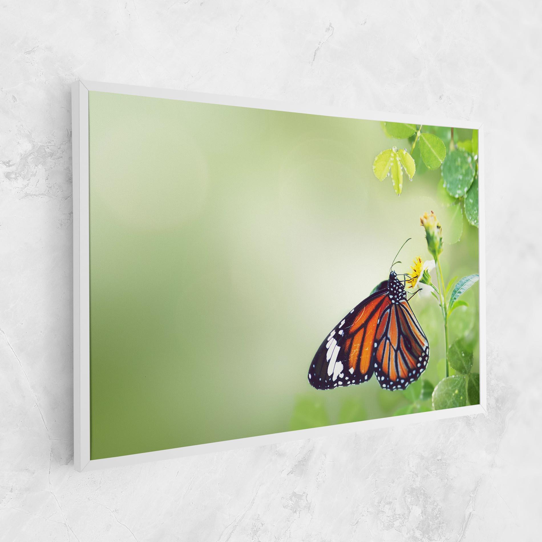 Tablou Canvas Butterfly Wild Plant mockup 1