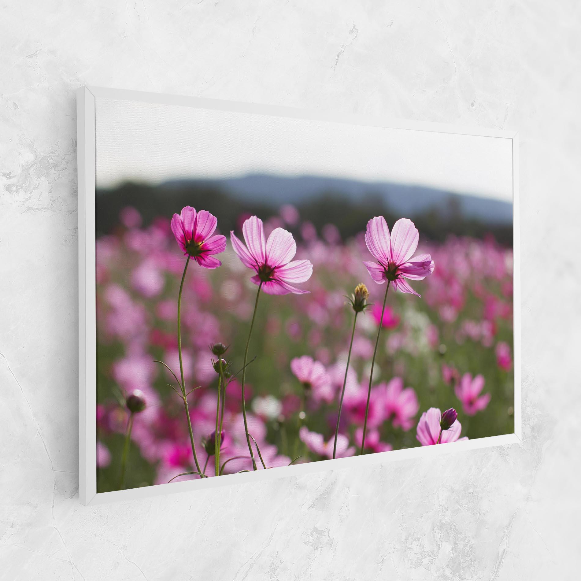 Tablou Canvas Cosmos Flower mockup 1