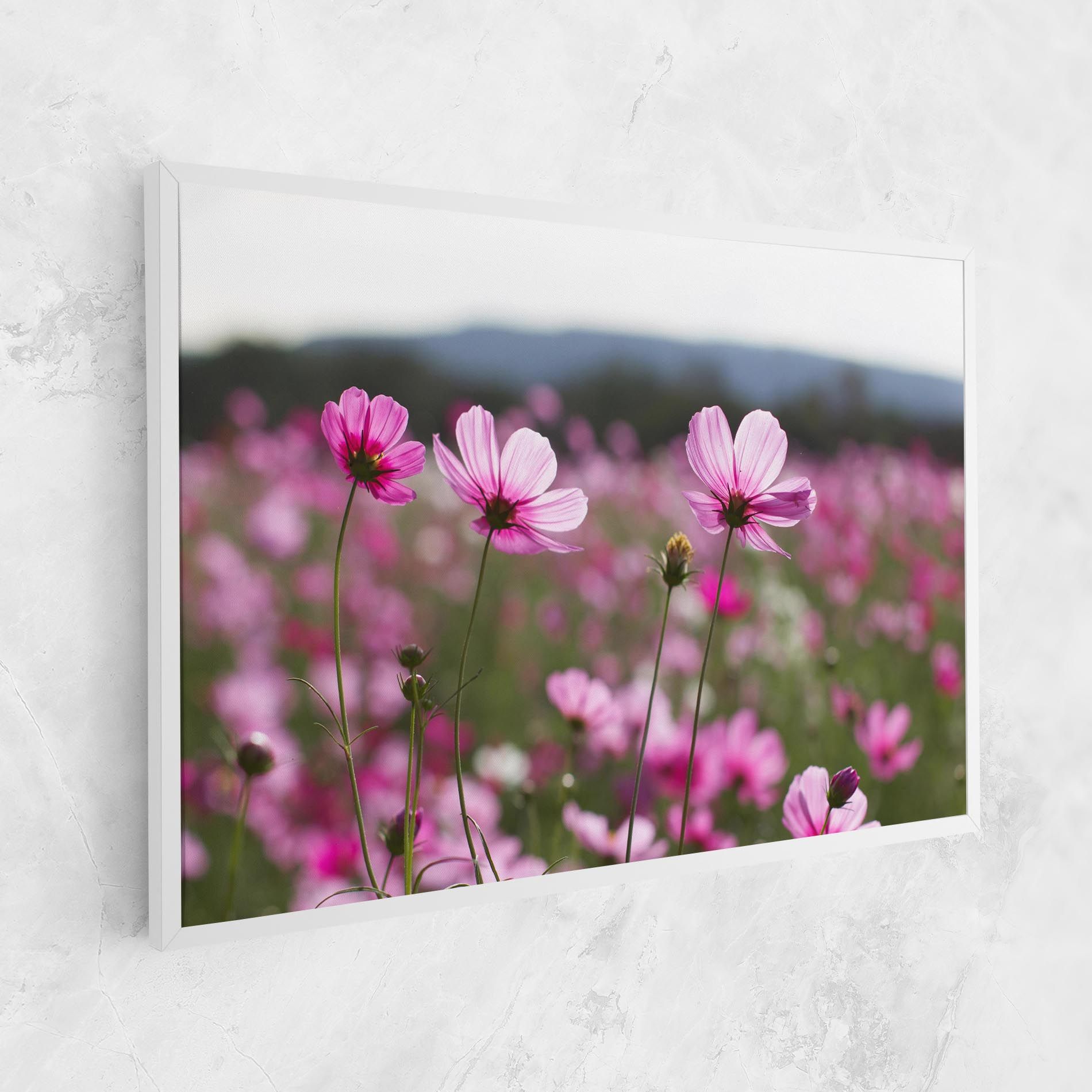 Cosmos Flower mockup 1