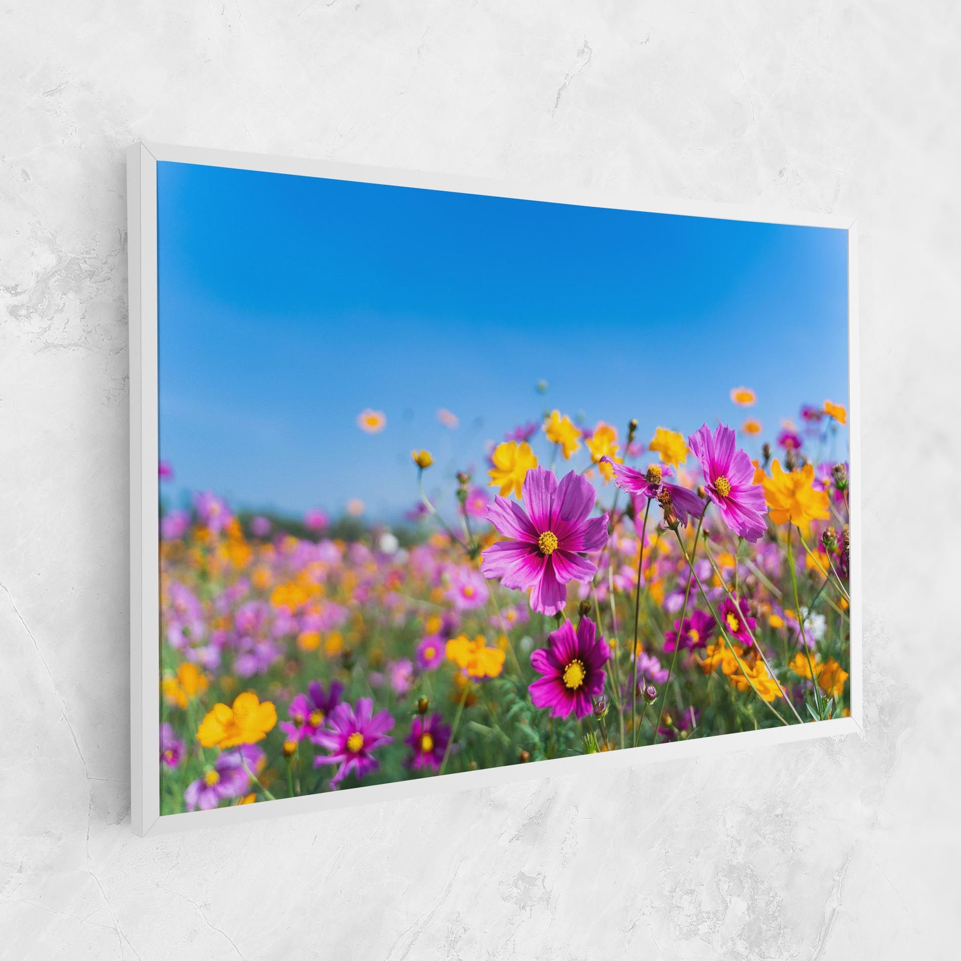 Cosmos Flowers Grassland mockup 1