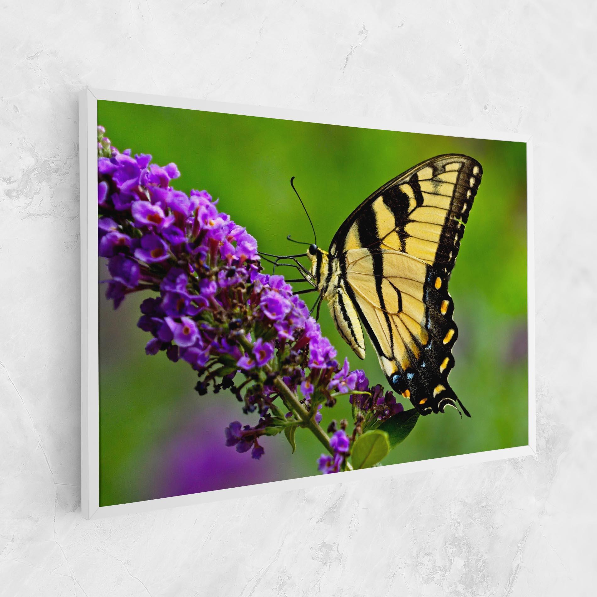 Tablou Canvas Cream Wild Butterfly mockup 1