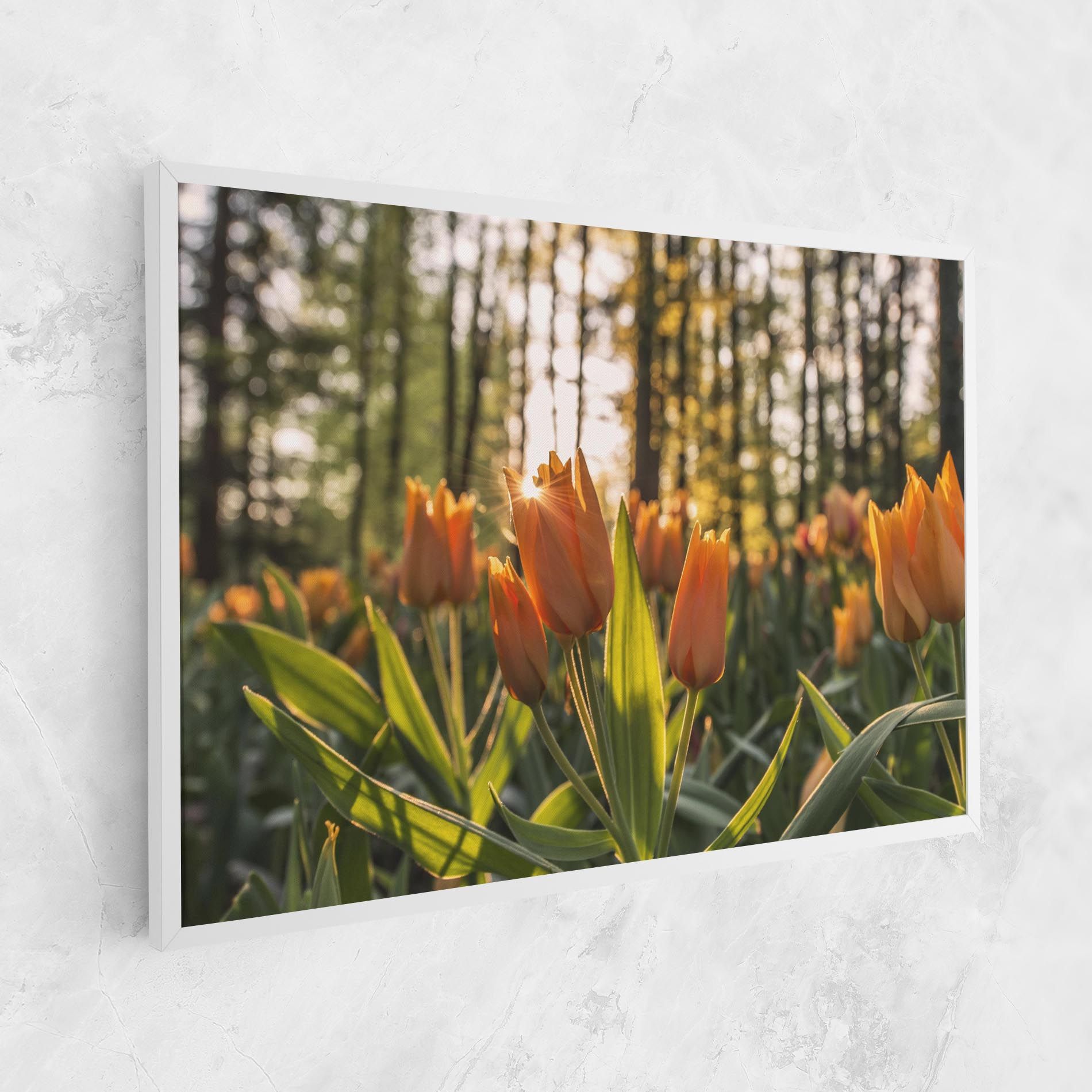 Forest Tulips mockup 1