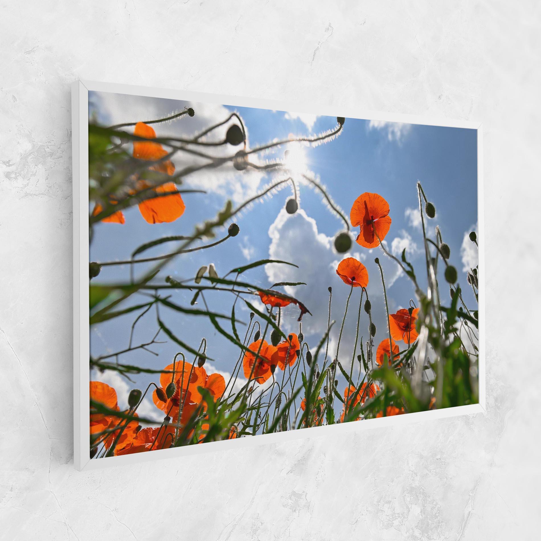 Tablou Canvas Wild Poppy Daylight mockup 1