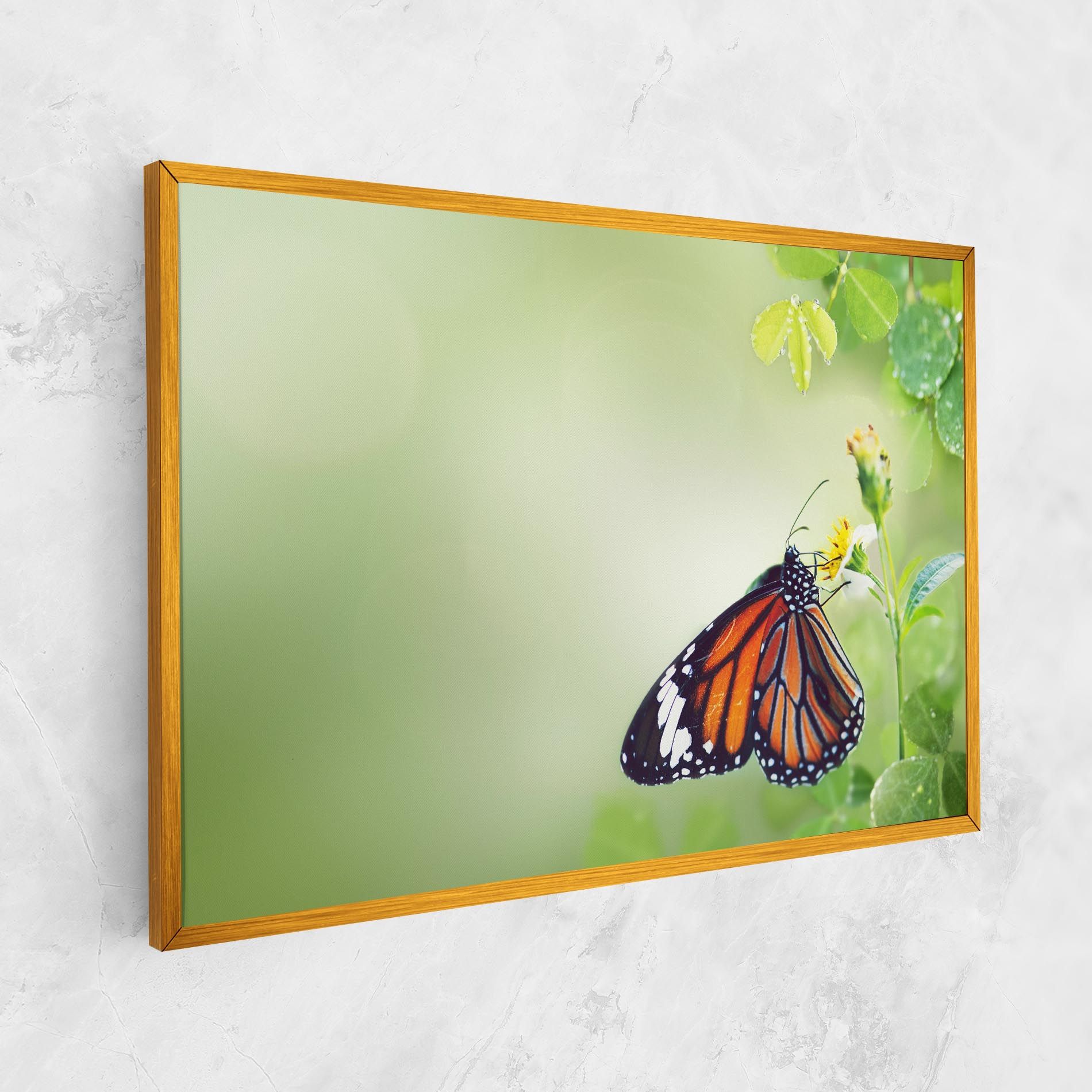 Butterfly Wild Plant mockup 1