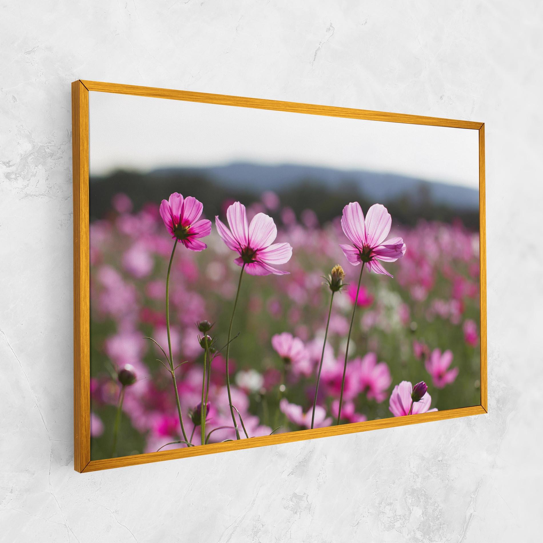 Tablou Canvas Cosmos Flower mockup 1
