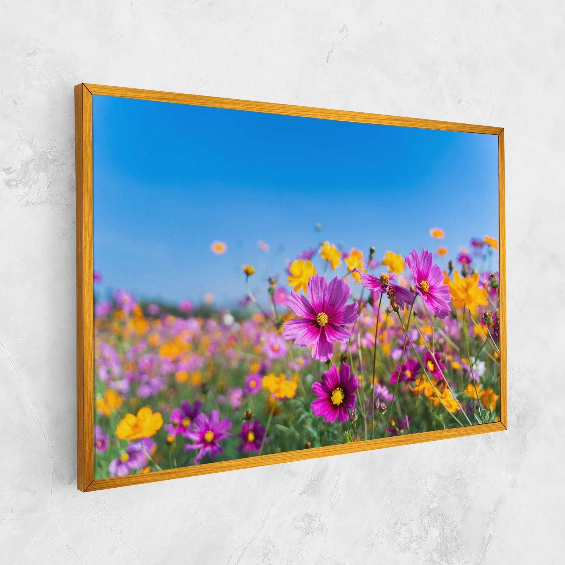 Cosmos Flowers Grassland mockup 1