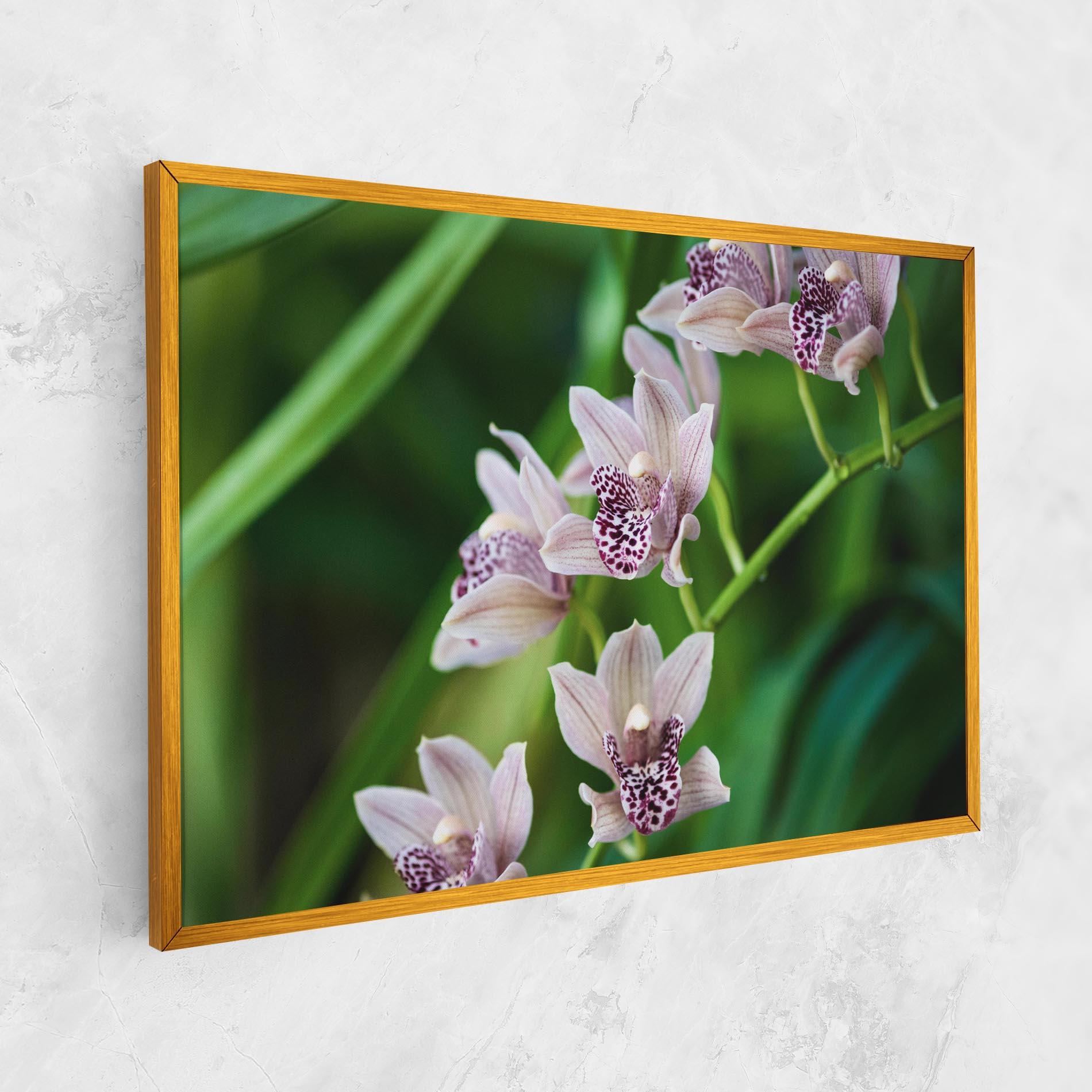 Tablou Canvas Cymbidium Orchid mockup 1