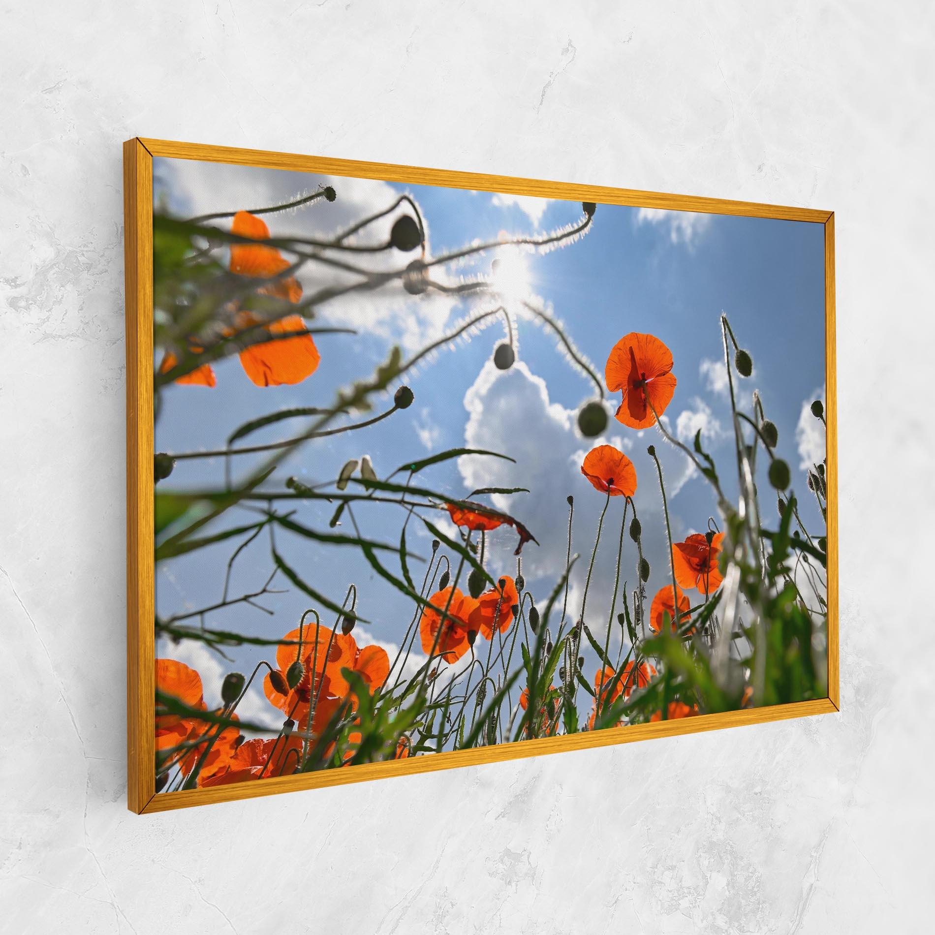Tablou Canvas Wild Poppy Daylight mockup 1