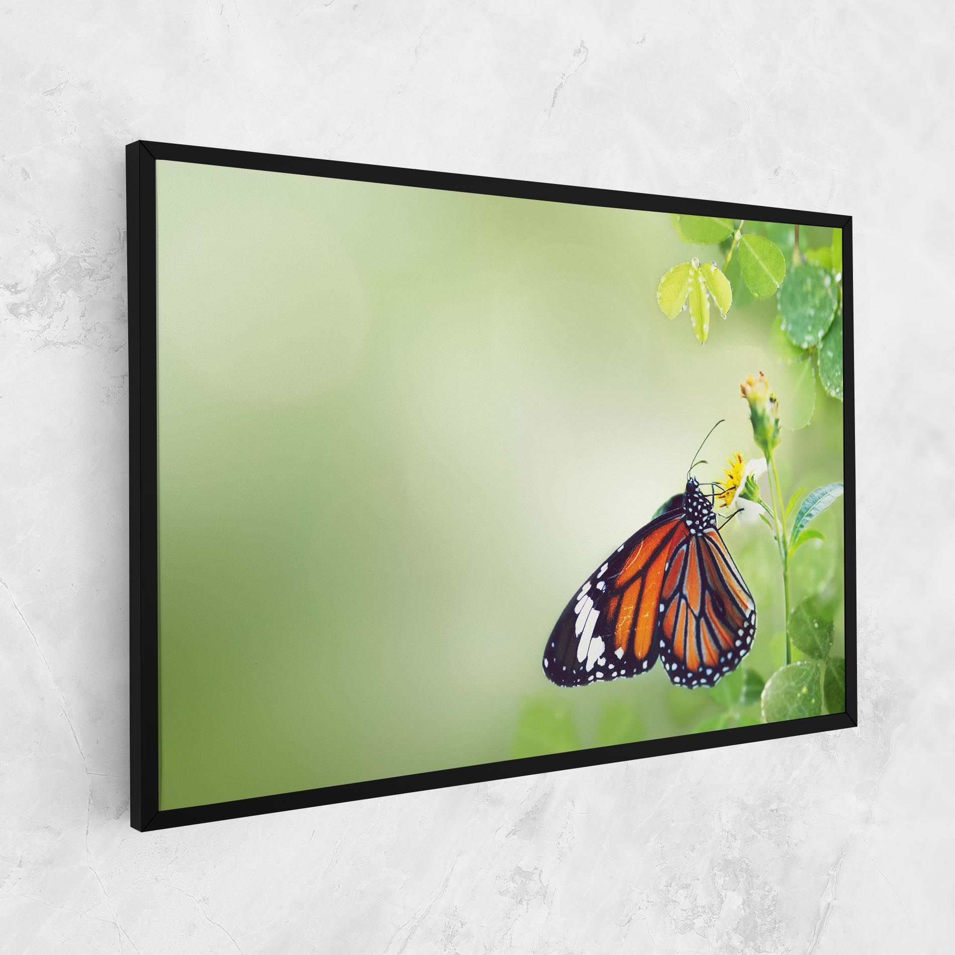 Butterfly Wild Plant mockup 1