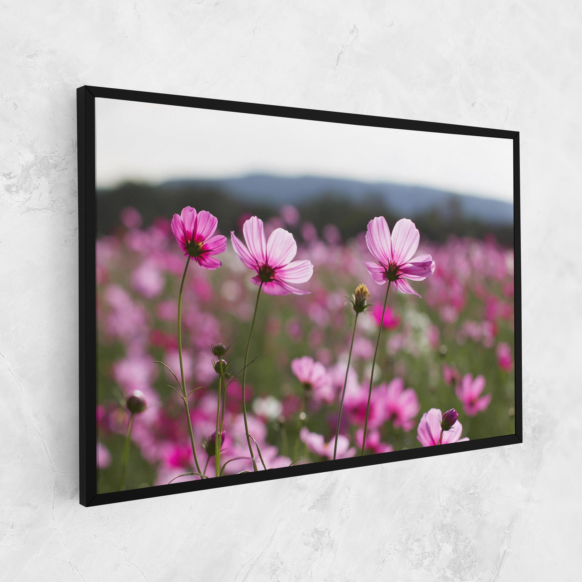 Tablou Canvas Cosmos Flower mockup 1