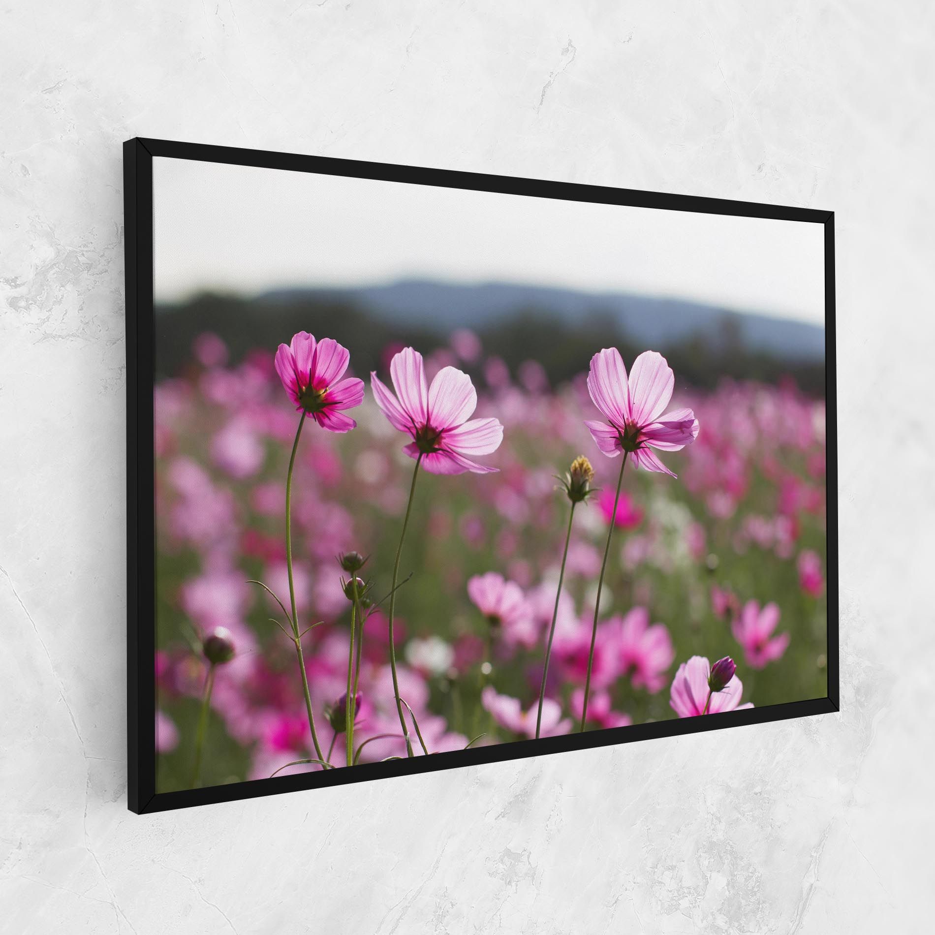 Cosmos Flower mockup 1