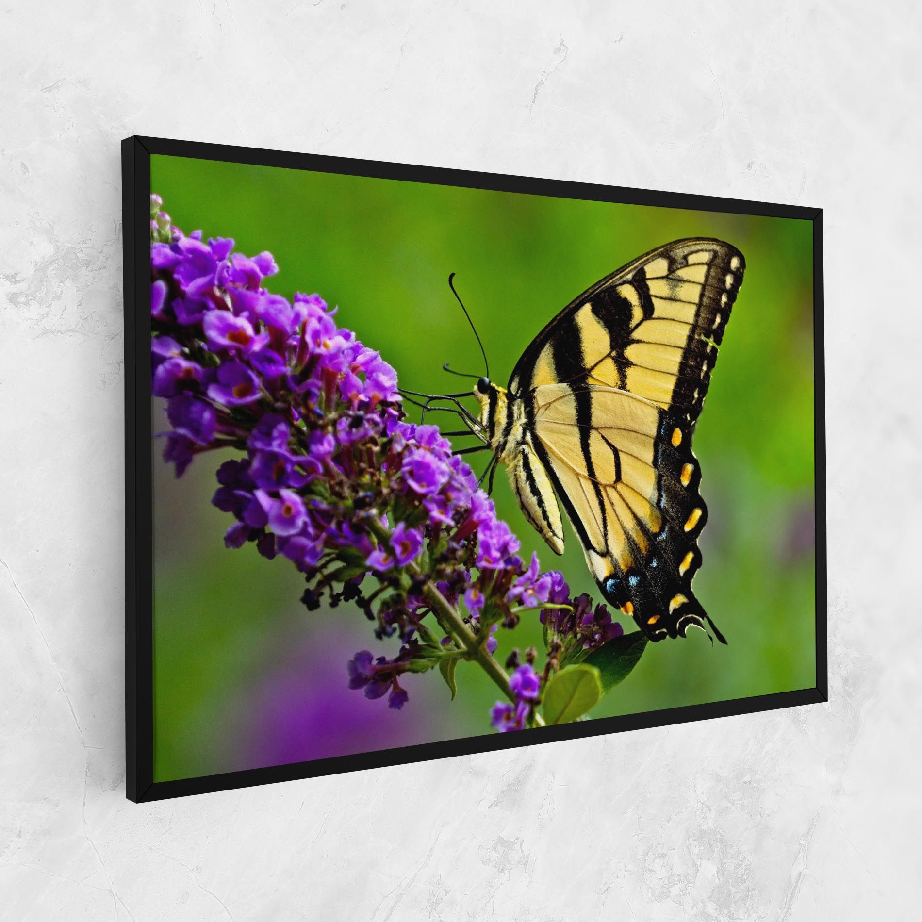 Cream Wild Butterfly mockup 1