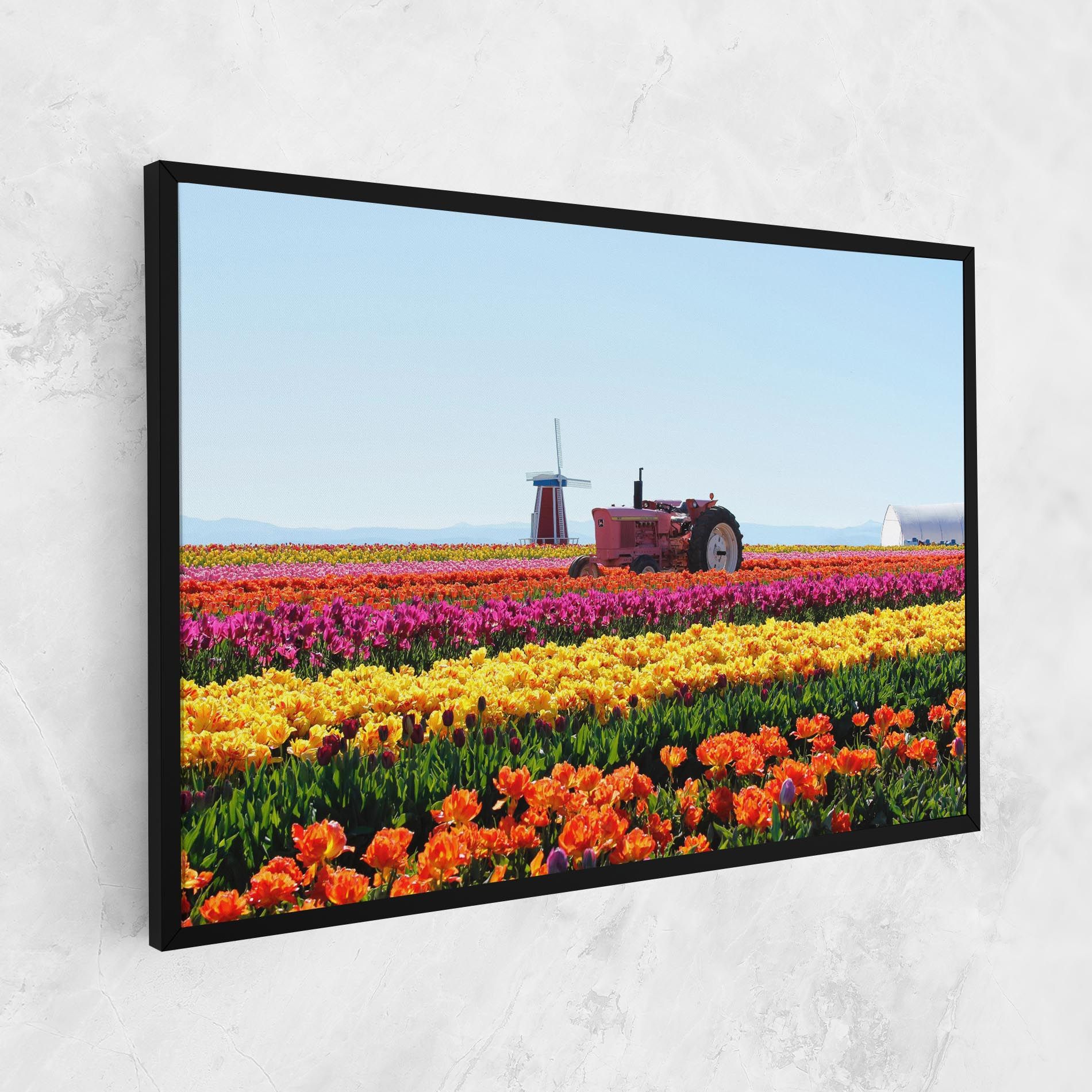 Working Wild Field mockup 1