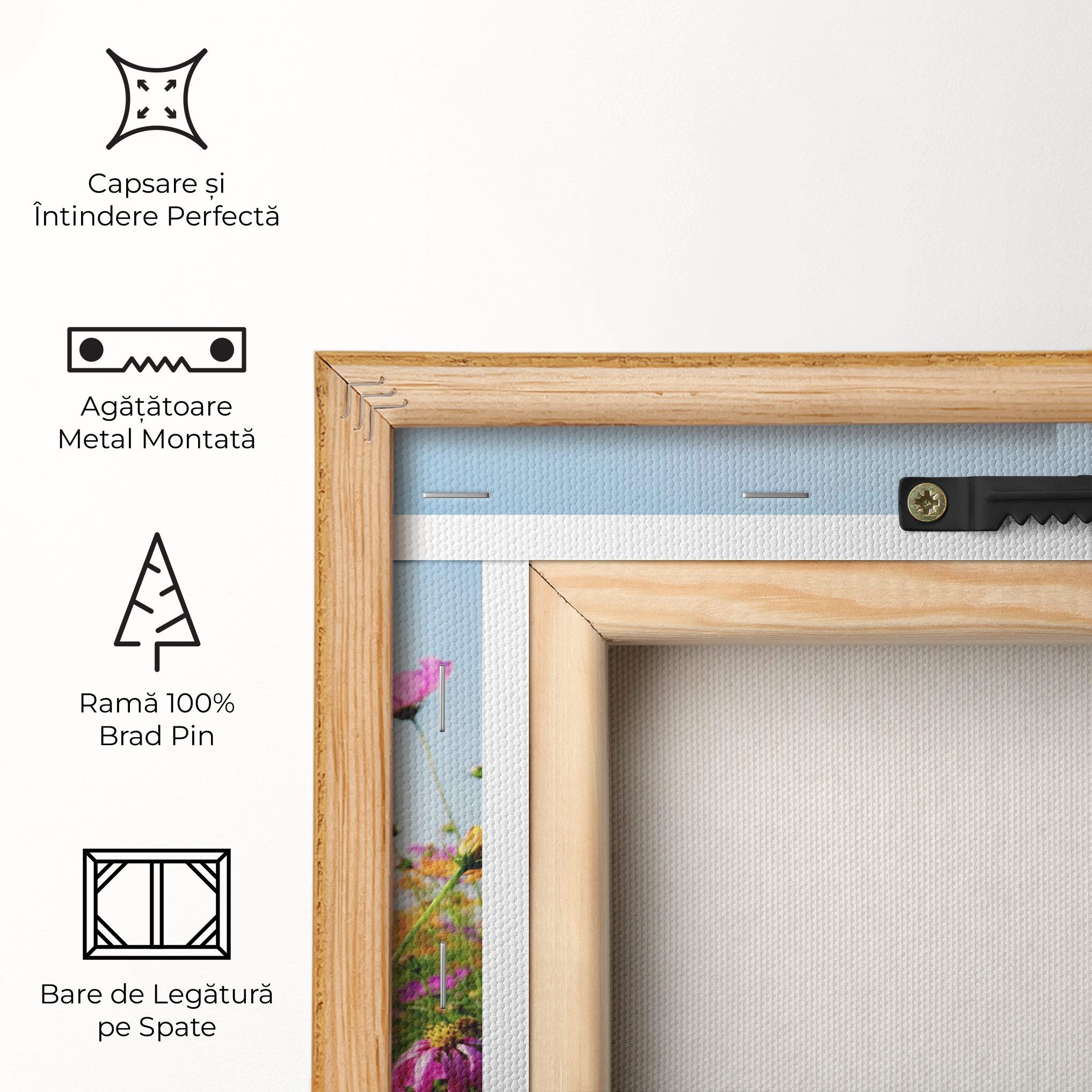 Cosmos Field Sunset mockup 5