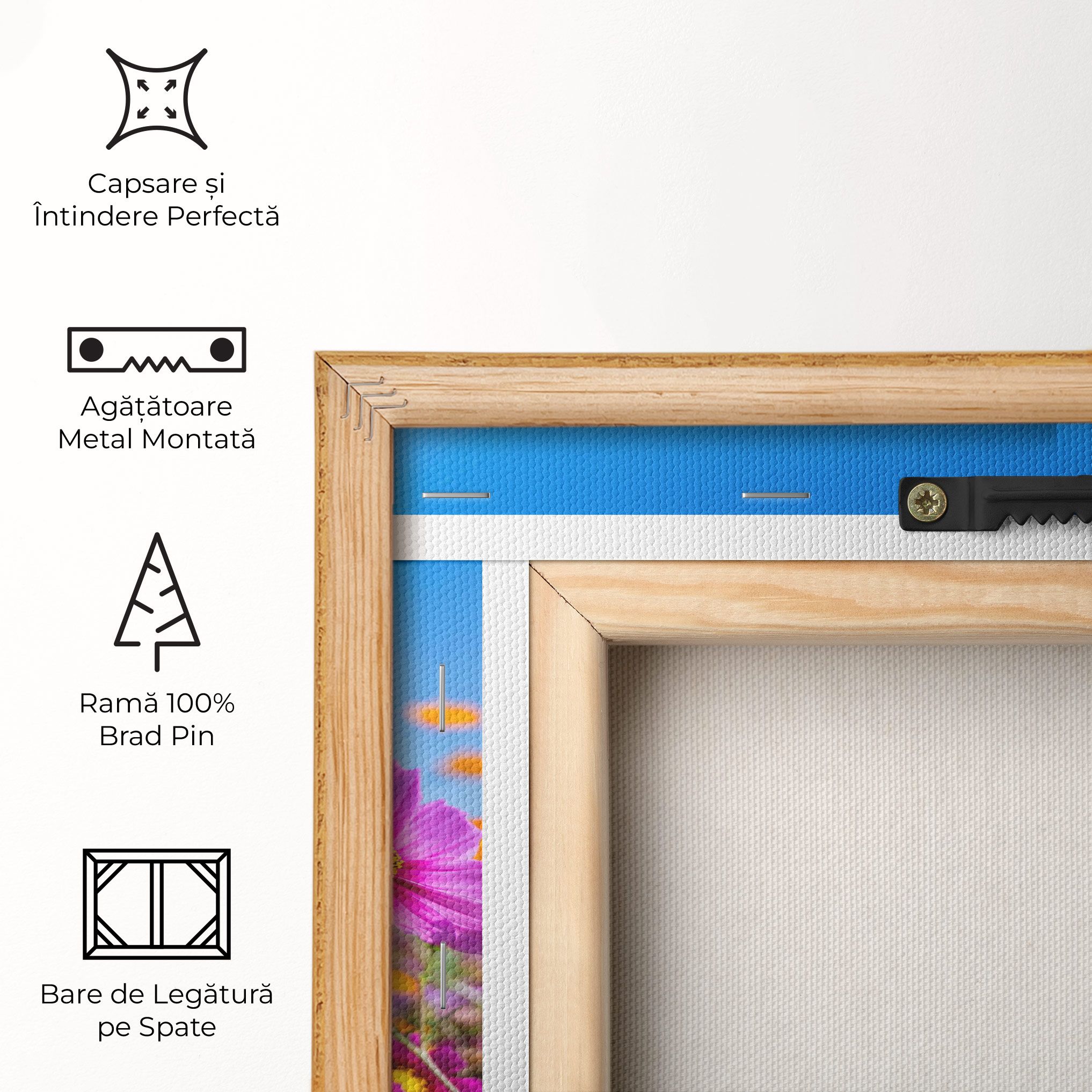 Cosmos Flowers Grassland mockup 5