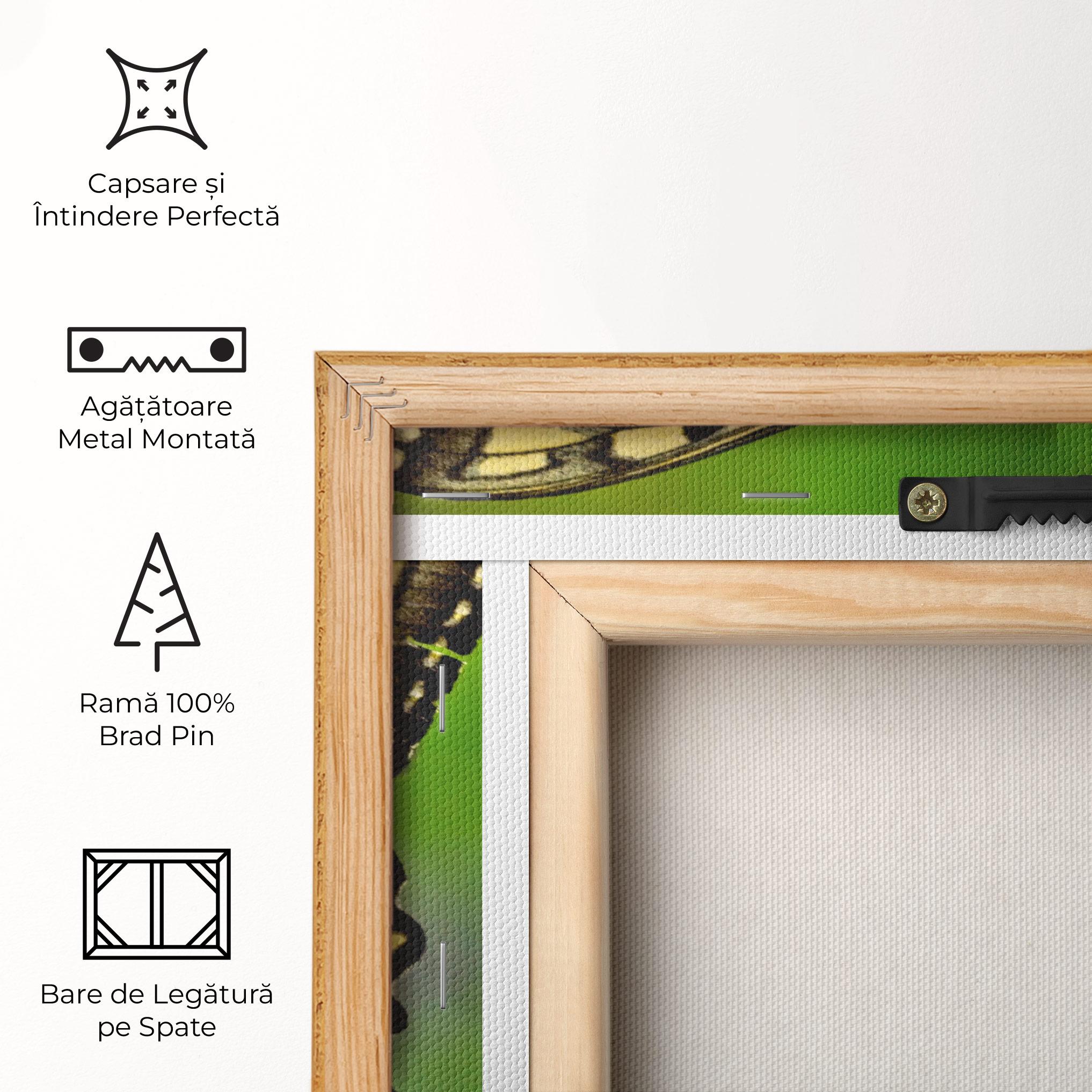 Tablou Canvas Cream Wild Butterfly mockup 5