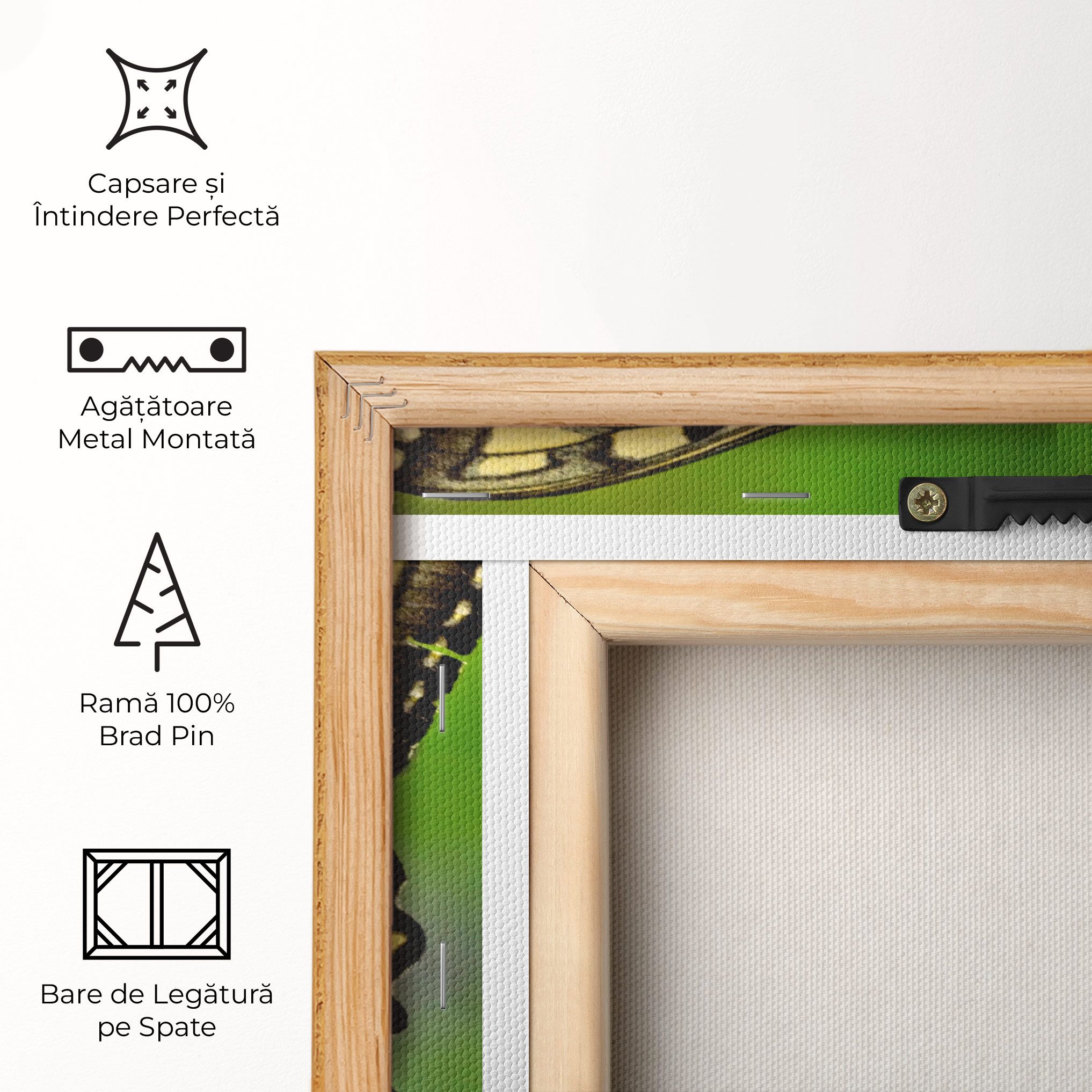 Cream Wild Butterfly mockup 5