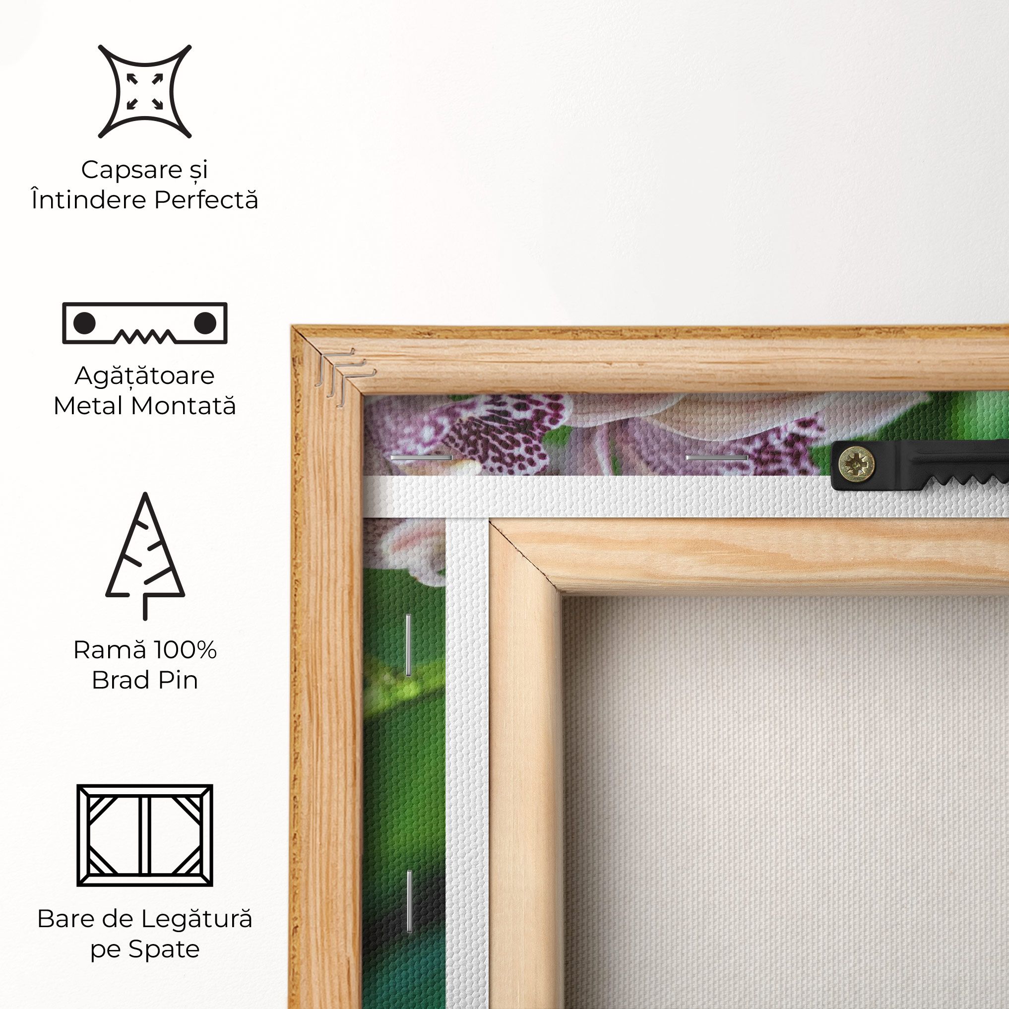 Cymbidium Orchid mockup 5