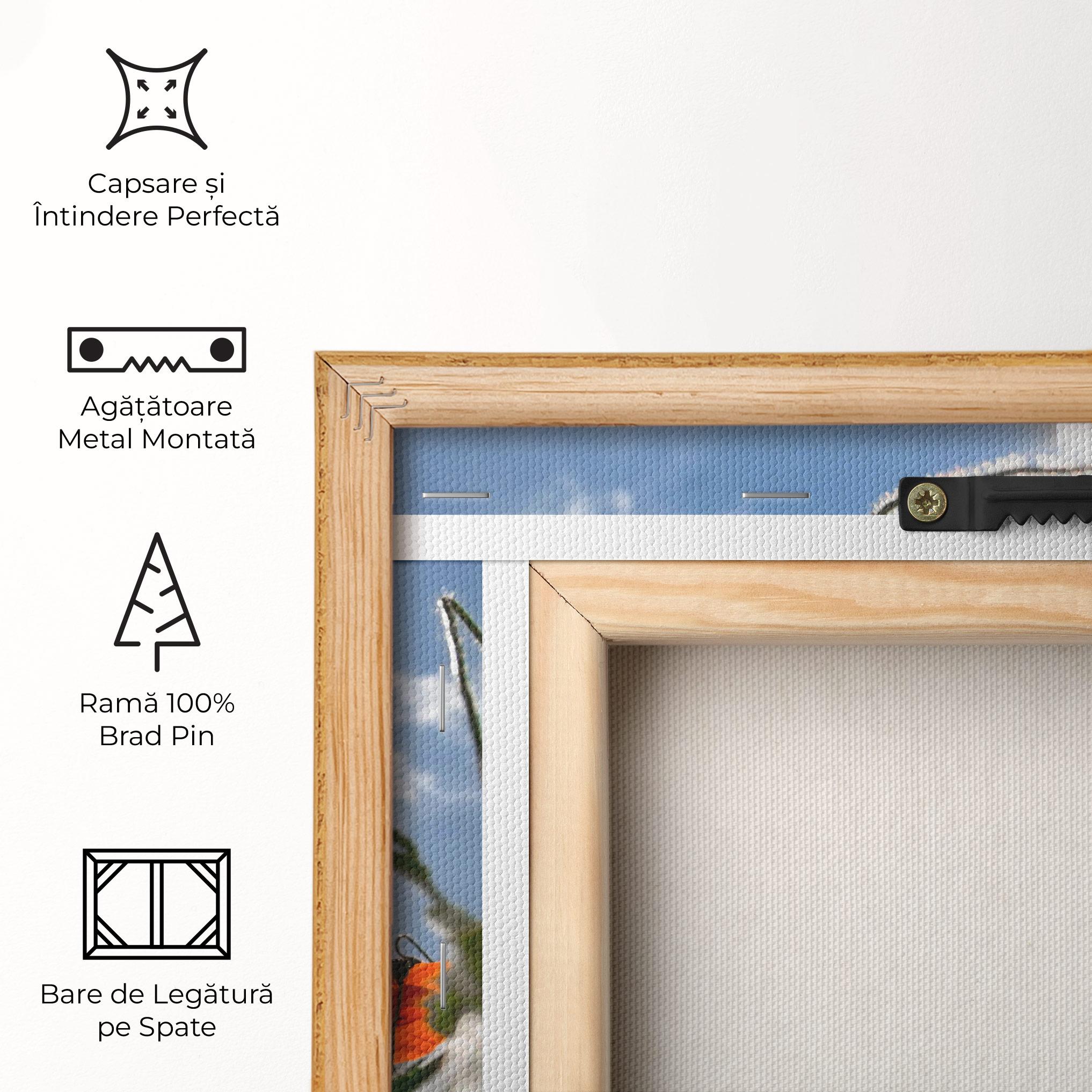 Tablou Canvas Wild Poppy Daylight mockup 5