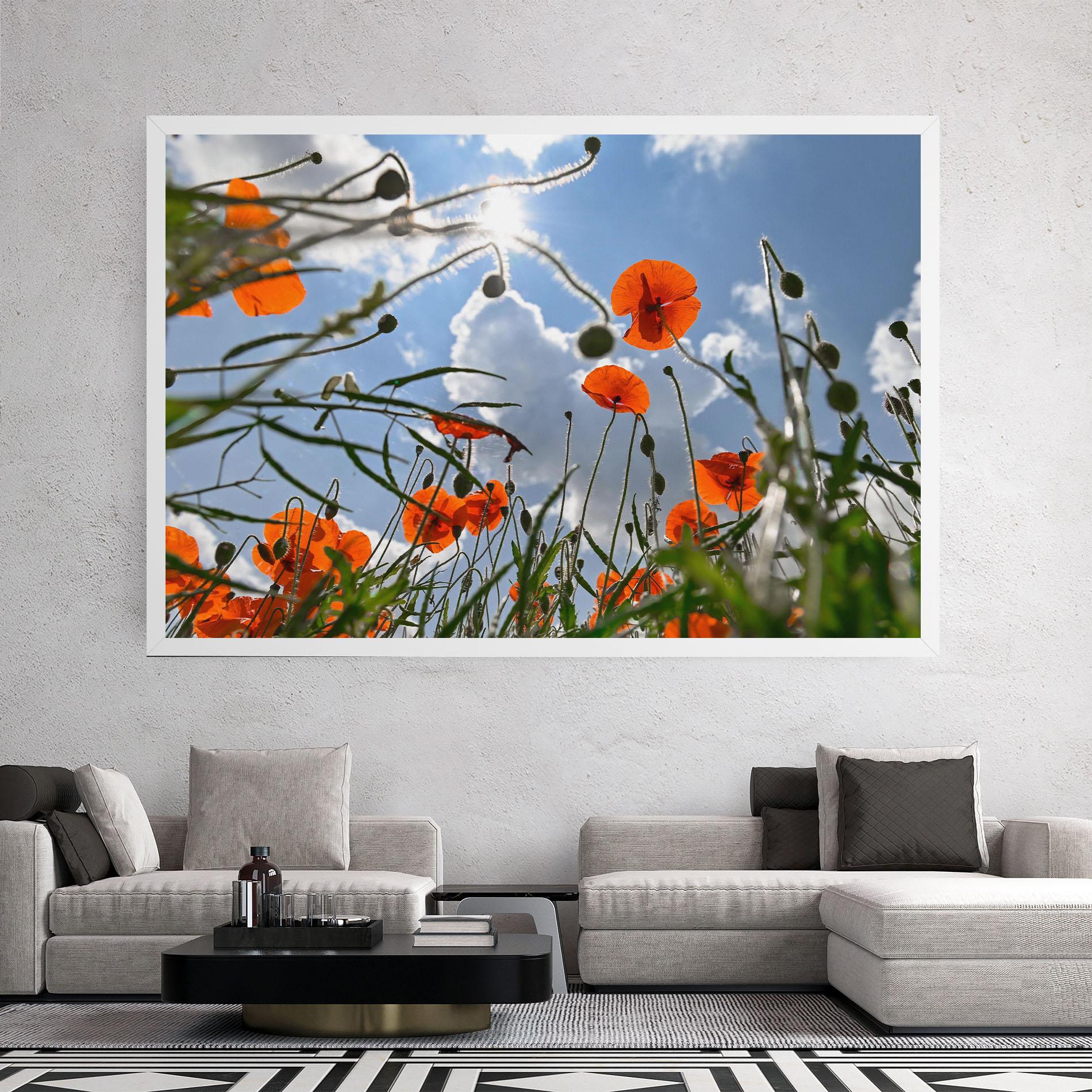 Tablou Canvas Wild Poppy Daylight mockup 2