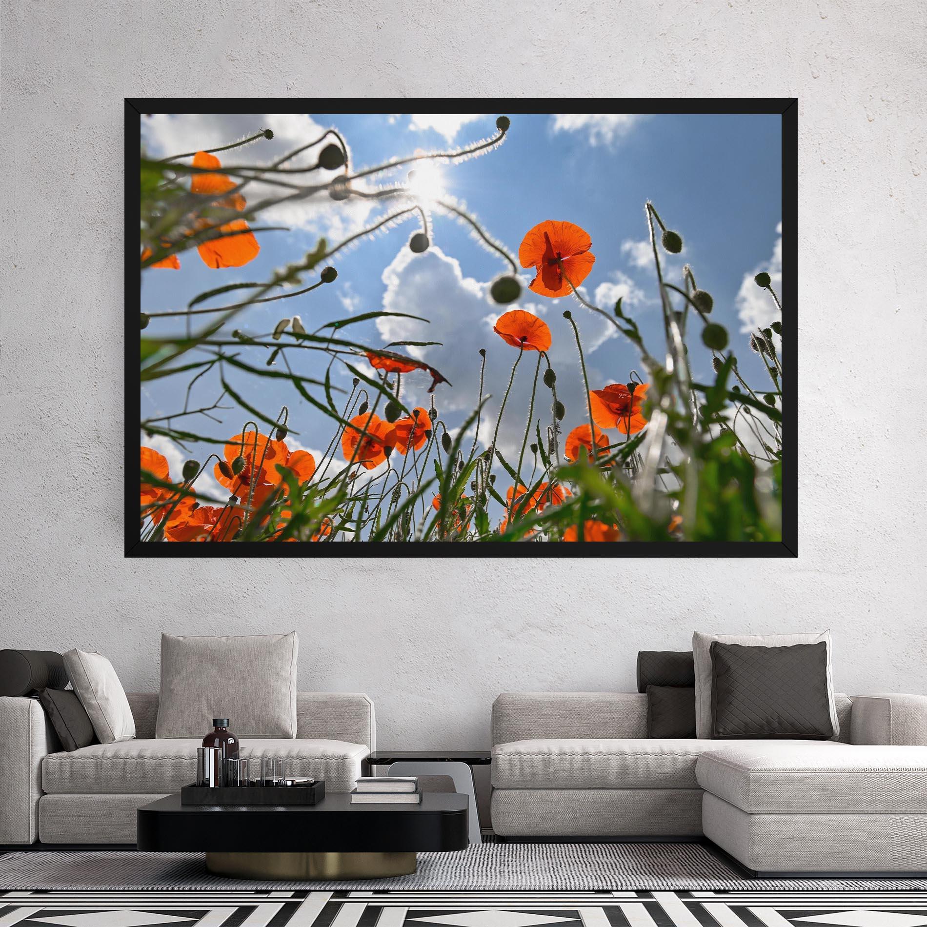 Tablou Canvas Wild Poppy Daylight mockup 2