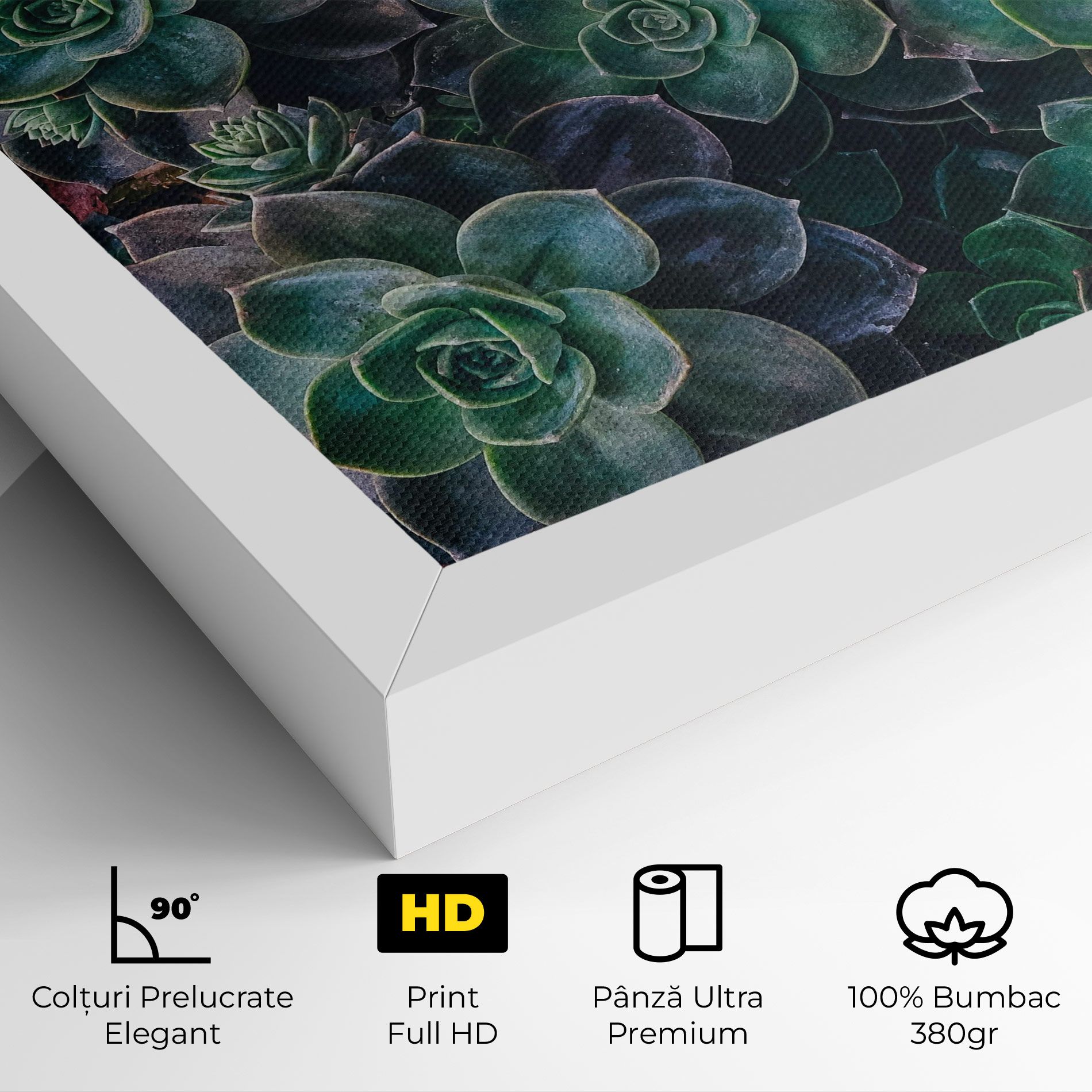 Green Lilac Tree mockup 4