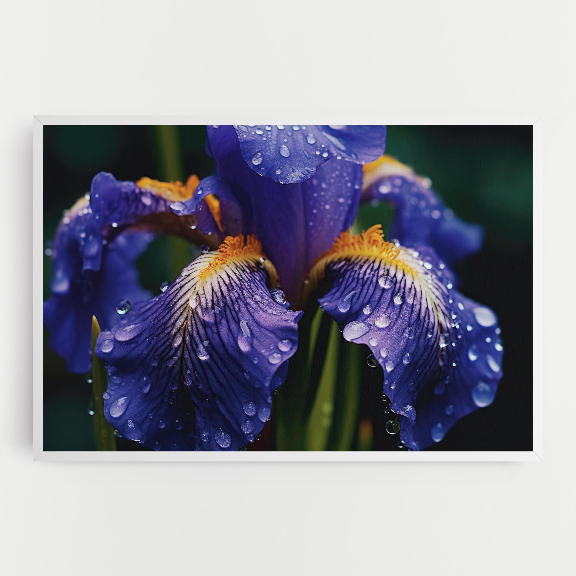 Tablou Canvas Iris After Rain mockup 0