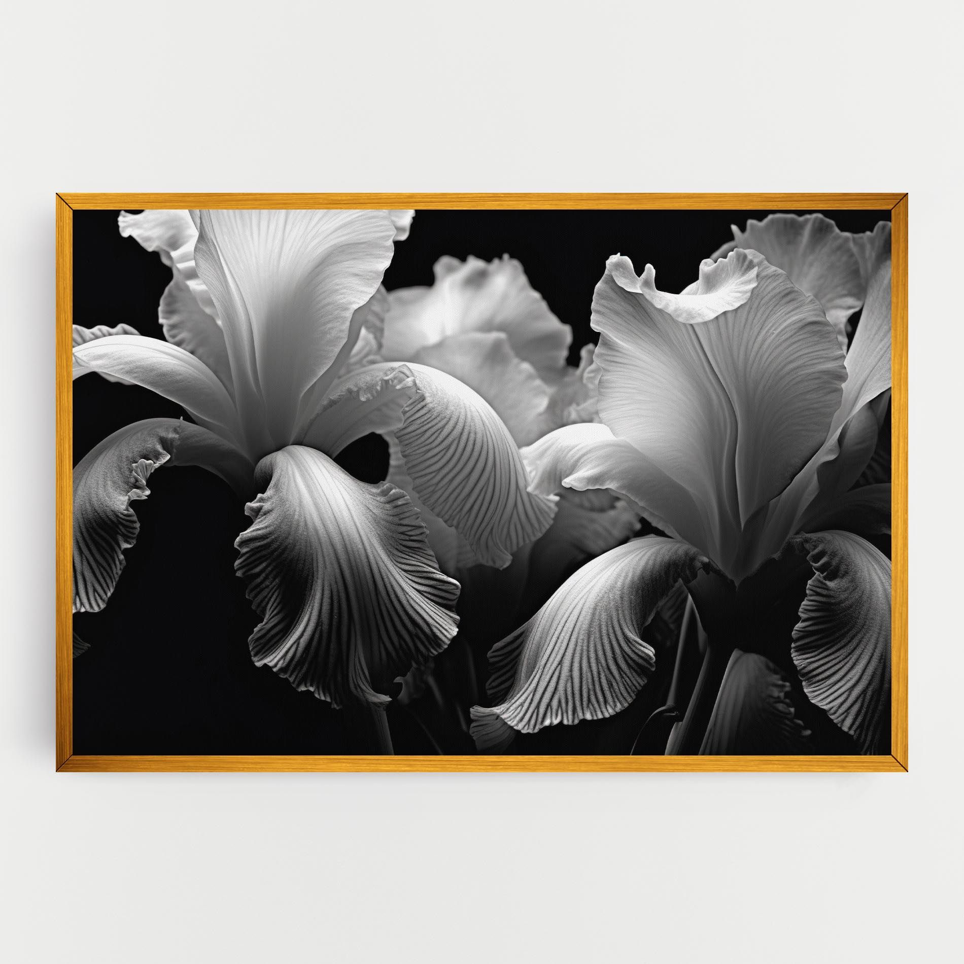 Grey Iris mockup 0