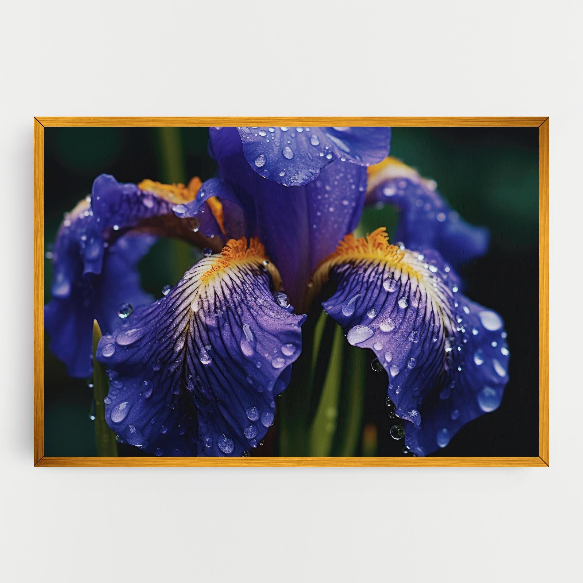 Iris After Rain mockup 0
