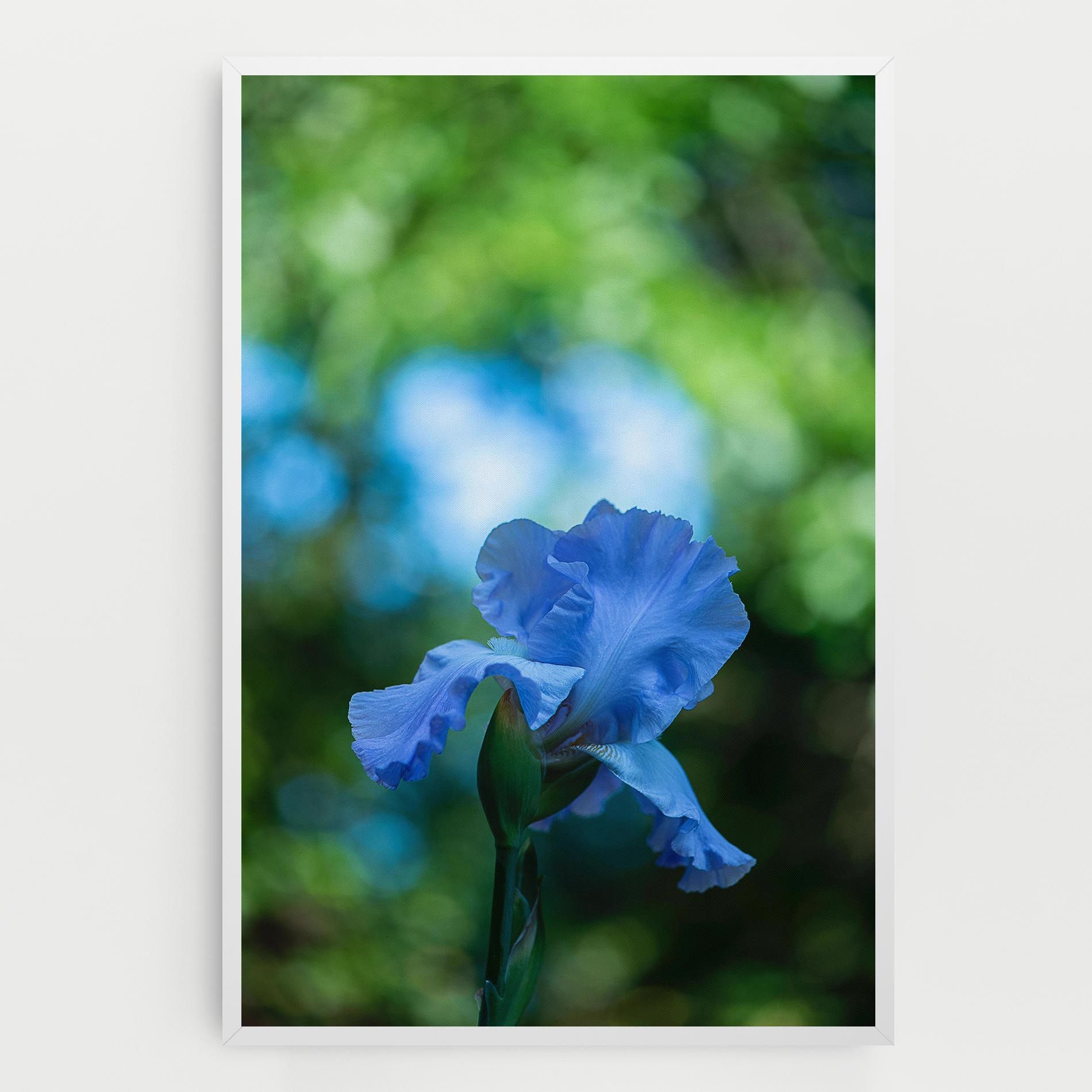 Blue Iris In The Garden mockup 0