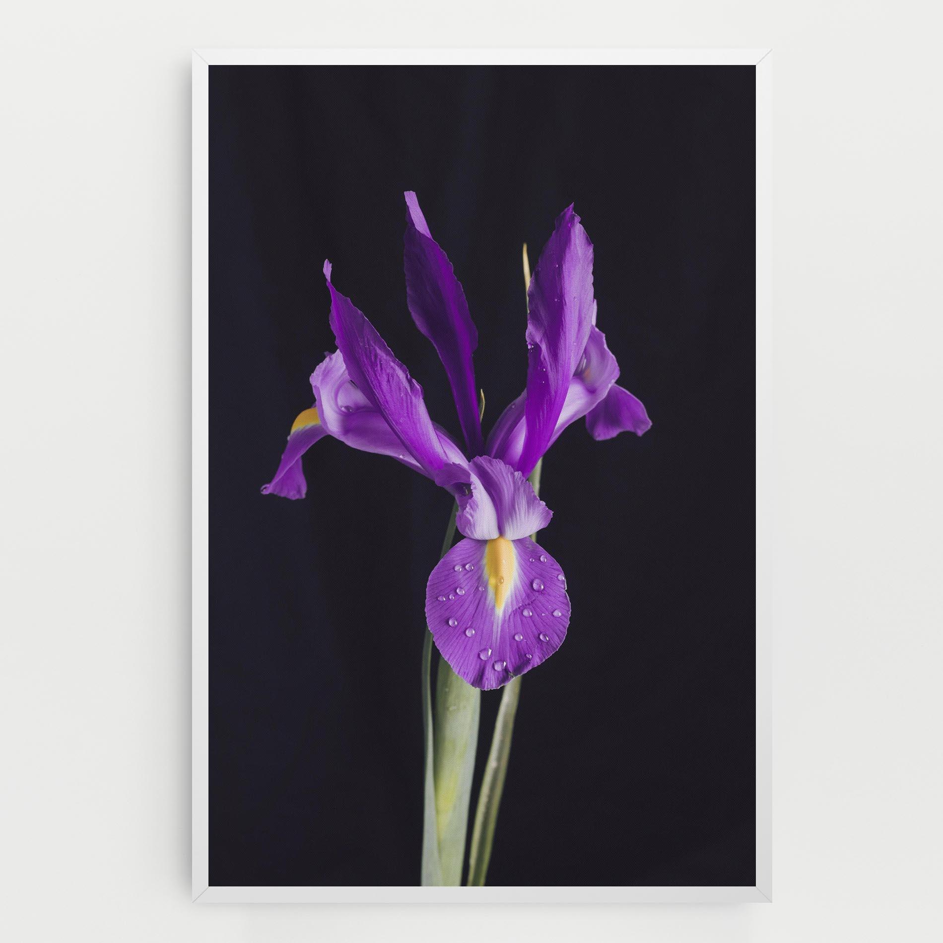 Tablou Canvas Fresh Purple Iris mockup 0