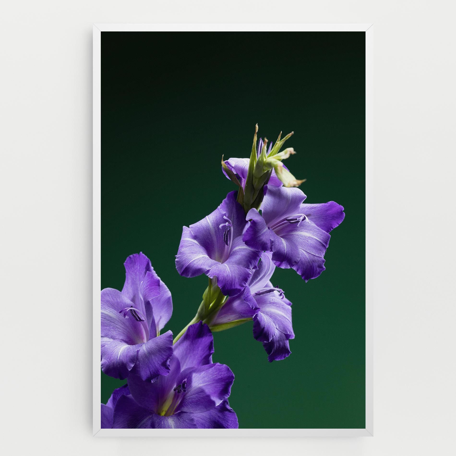 Iris On Green mockup 0