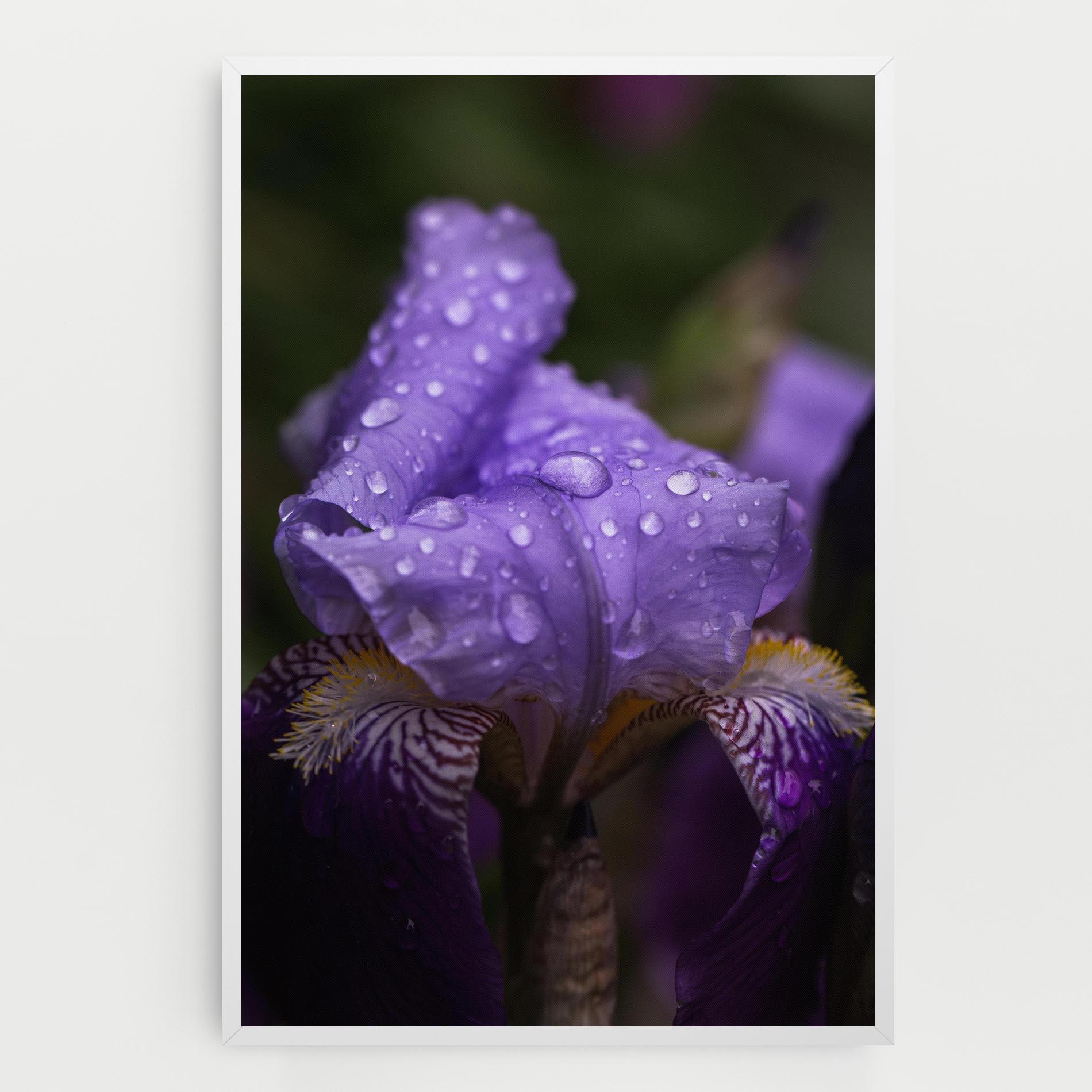 Tablou Canvas Rain In The Garden mockup 0