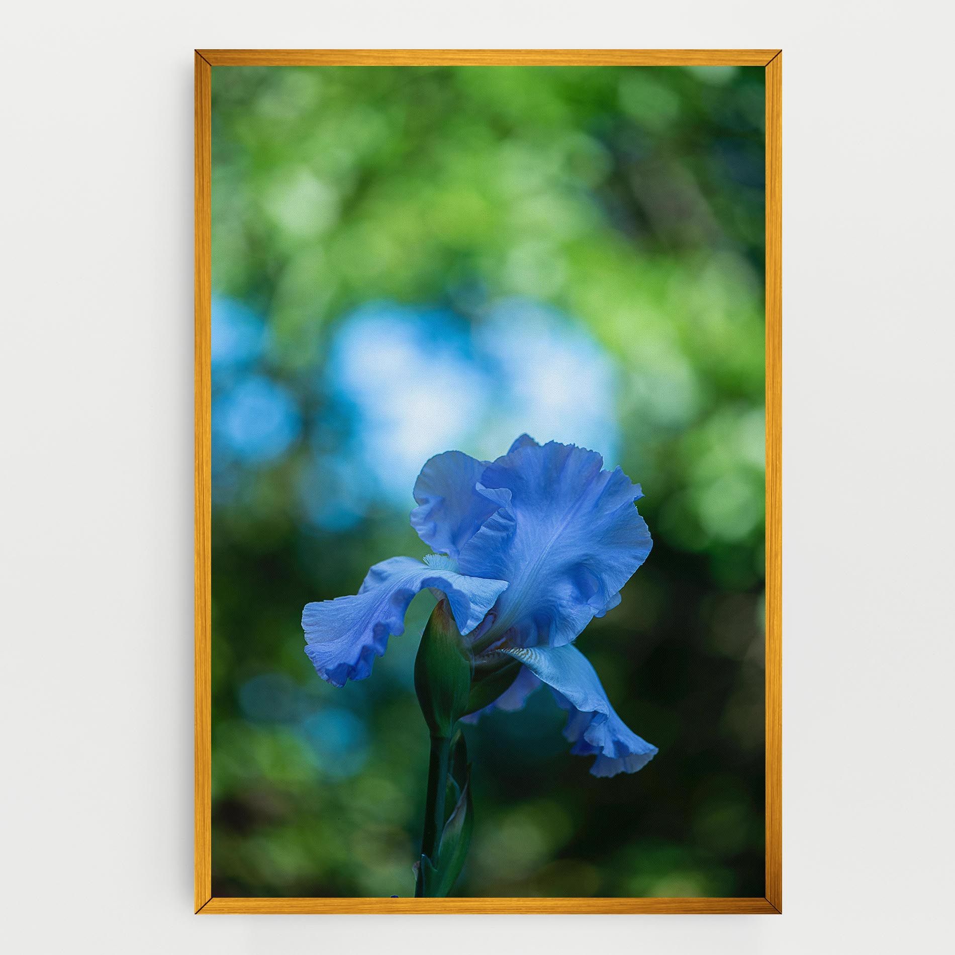Blue Iris In The Garden mockup 0