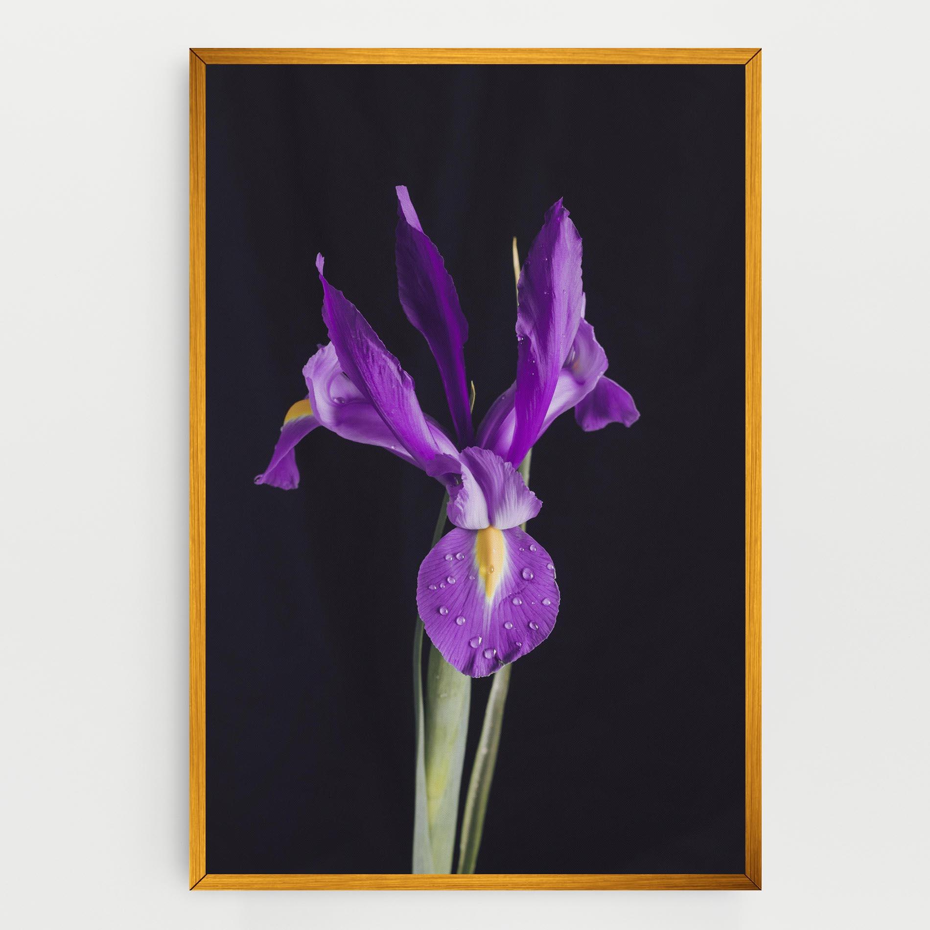 Tablou Canvas Fresh Purple Iris mockup 0