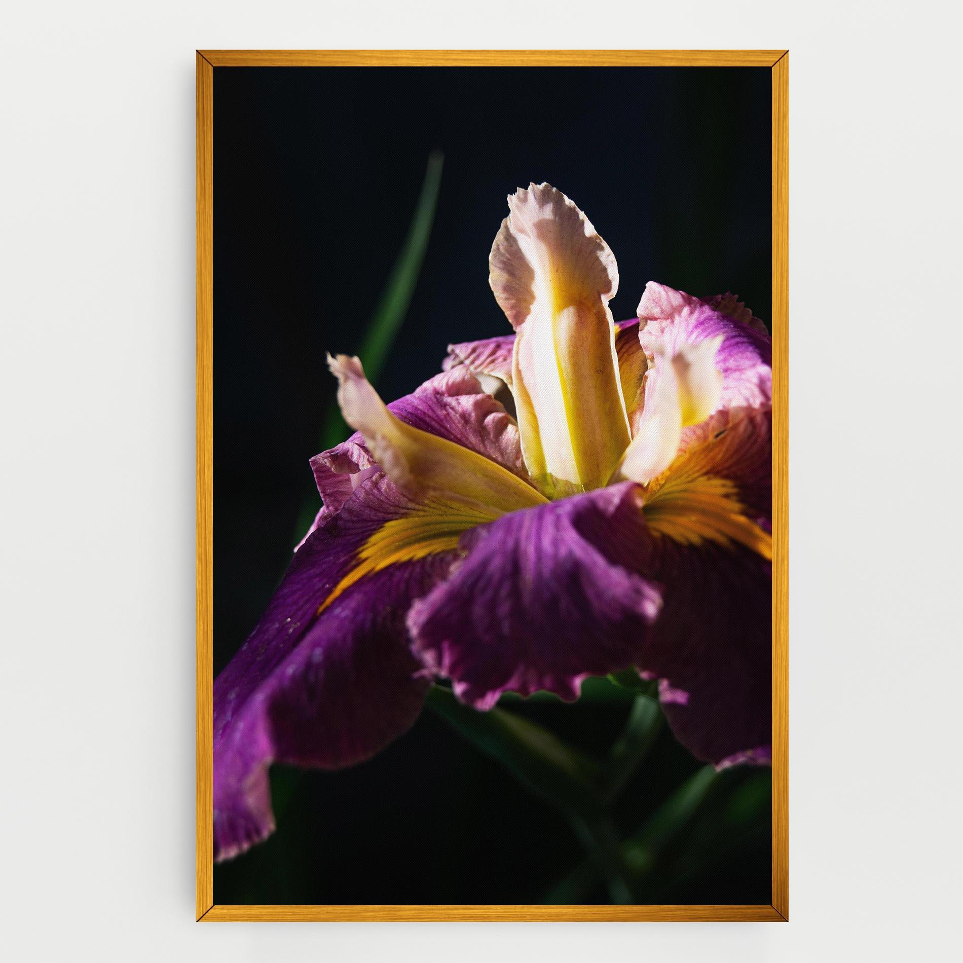Tablou Canvas Pastel Yellow Iris mockup 0