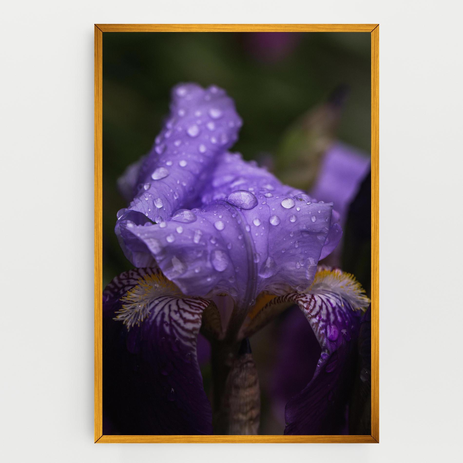 Tablou Canvas Rain In The Garden mockup 0