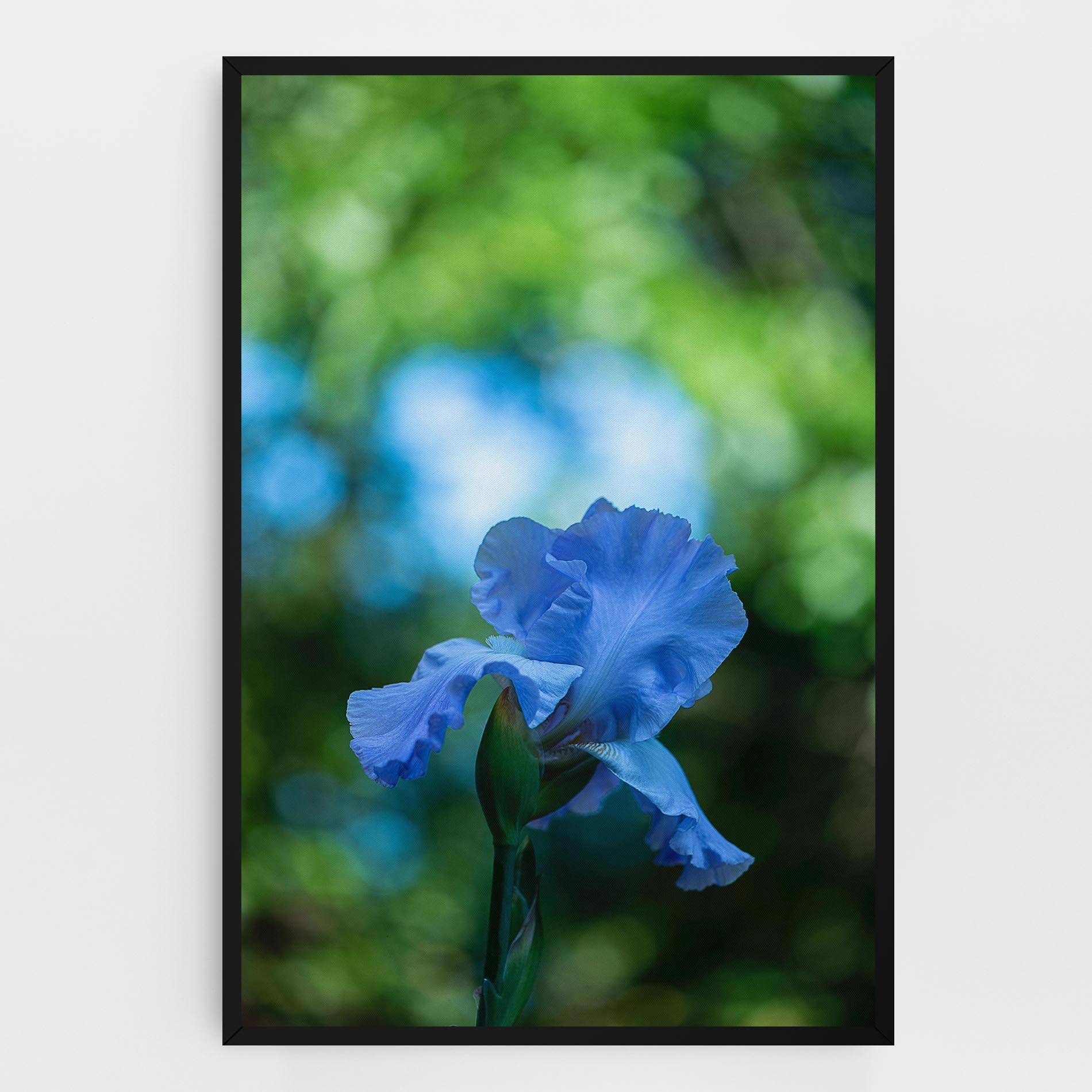 Tablou Canvas Blue Iris In The Garden mockup 0
