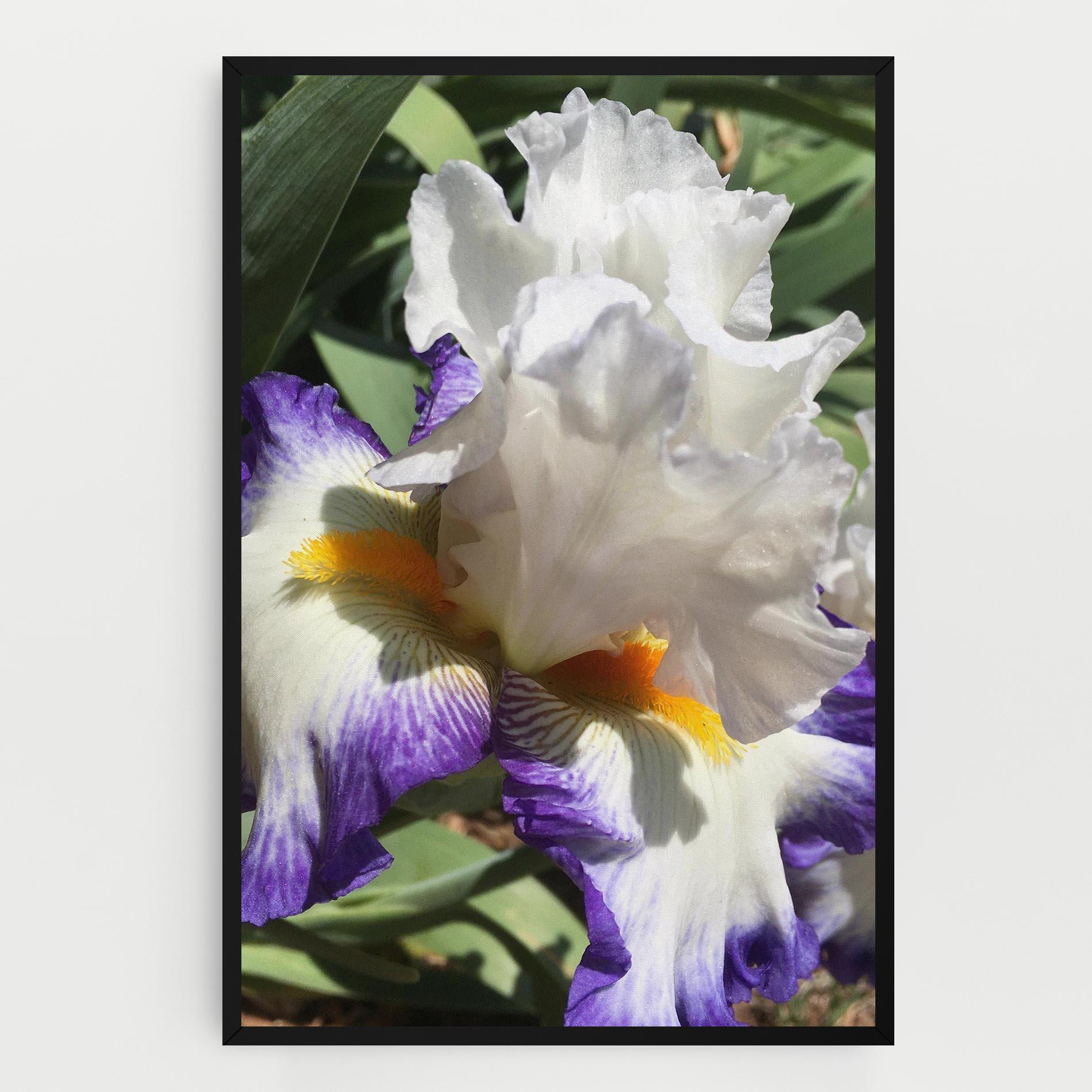 Tablou Canvas Garden White Purple Irirs mockup 0