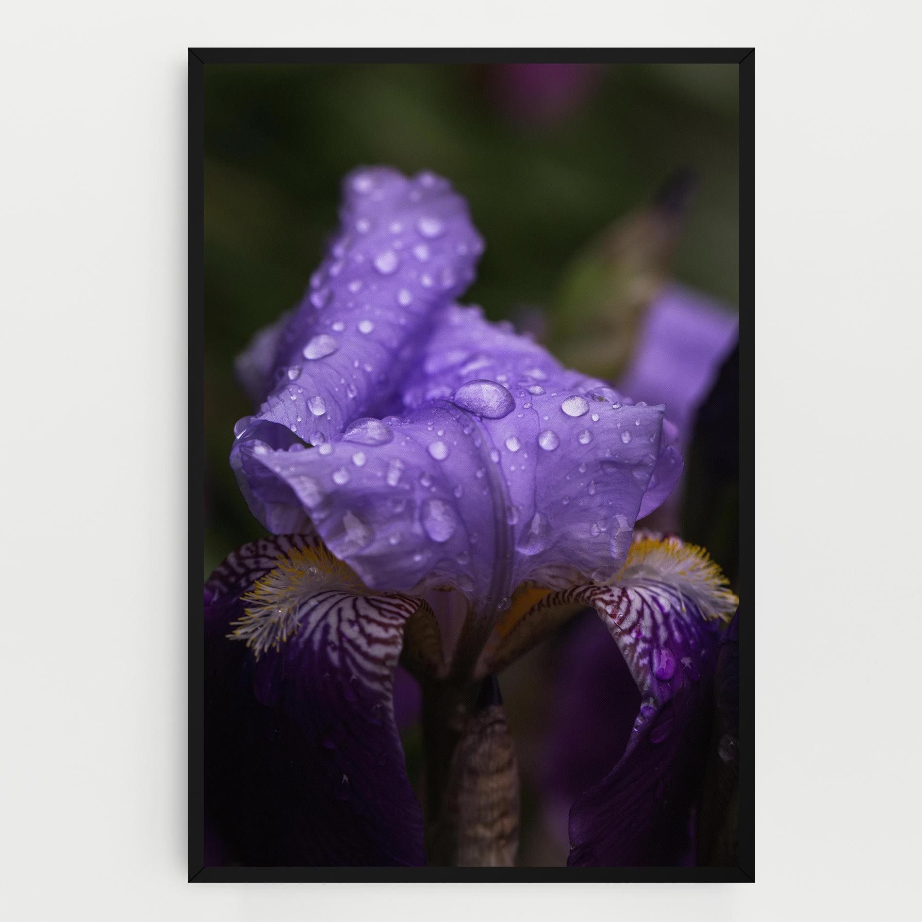 Rain In The Garden mockup 0