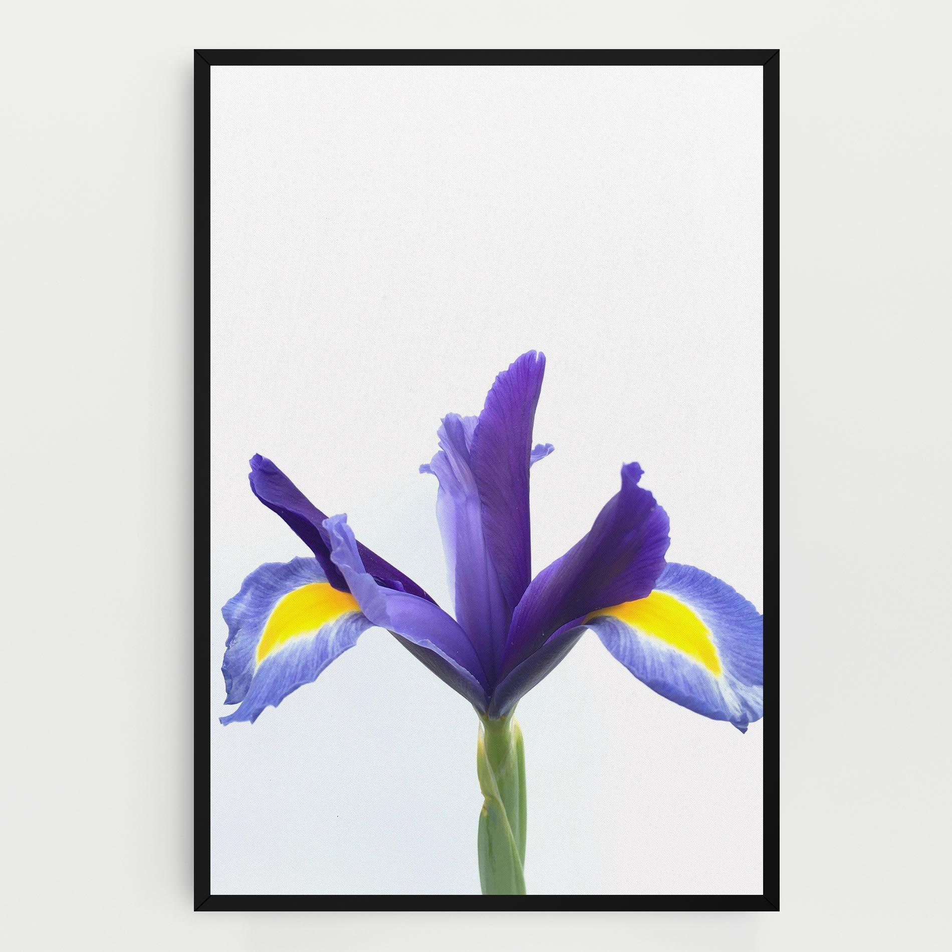 Tablou Canvas Yellow Color Iris mockup 0