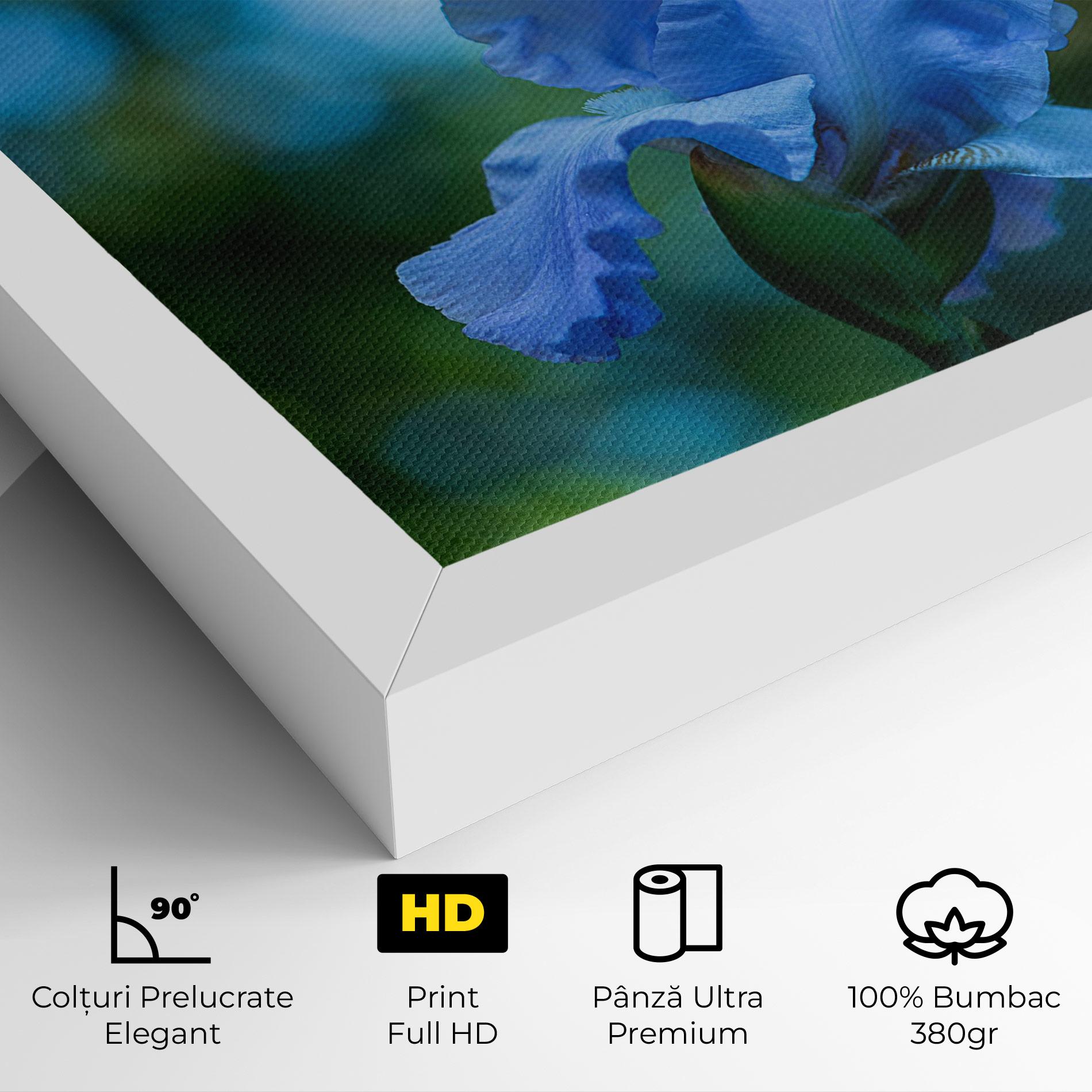 Tablou Canvas Blue Iris In The Garden mockup 4