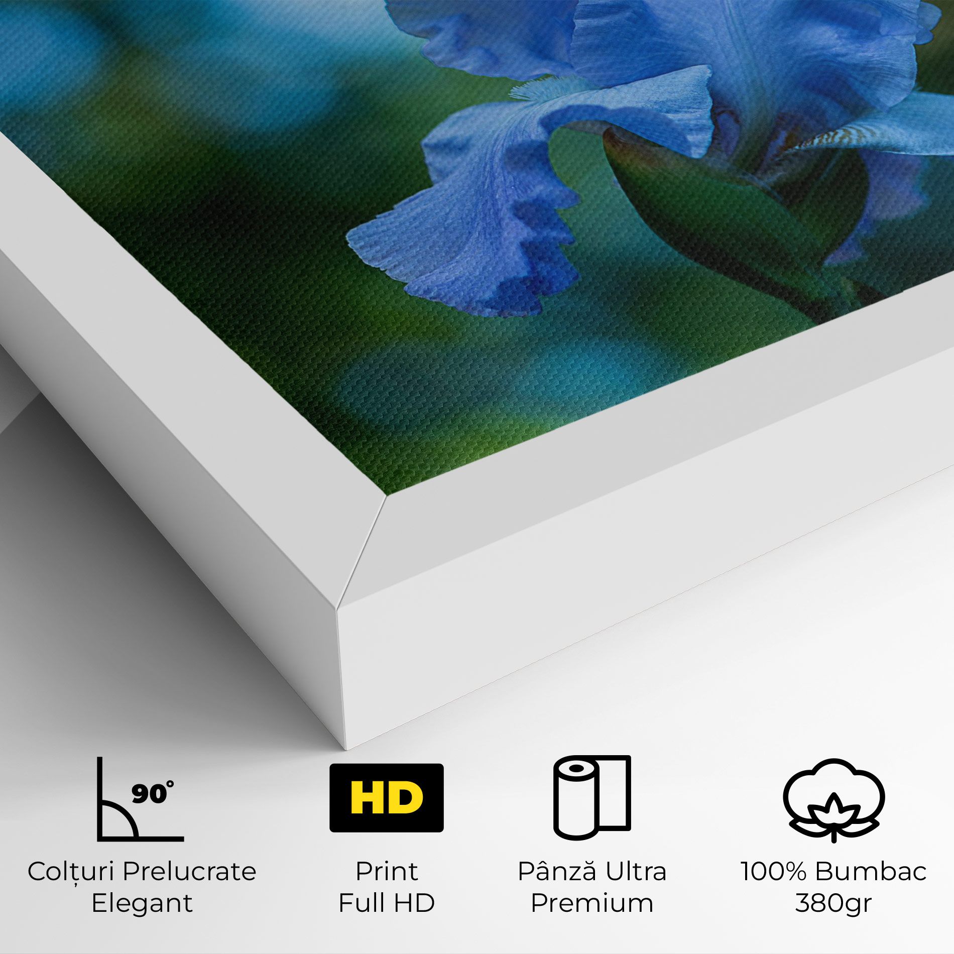 Blue Iris In The Garden mockup 4