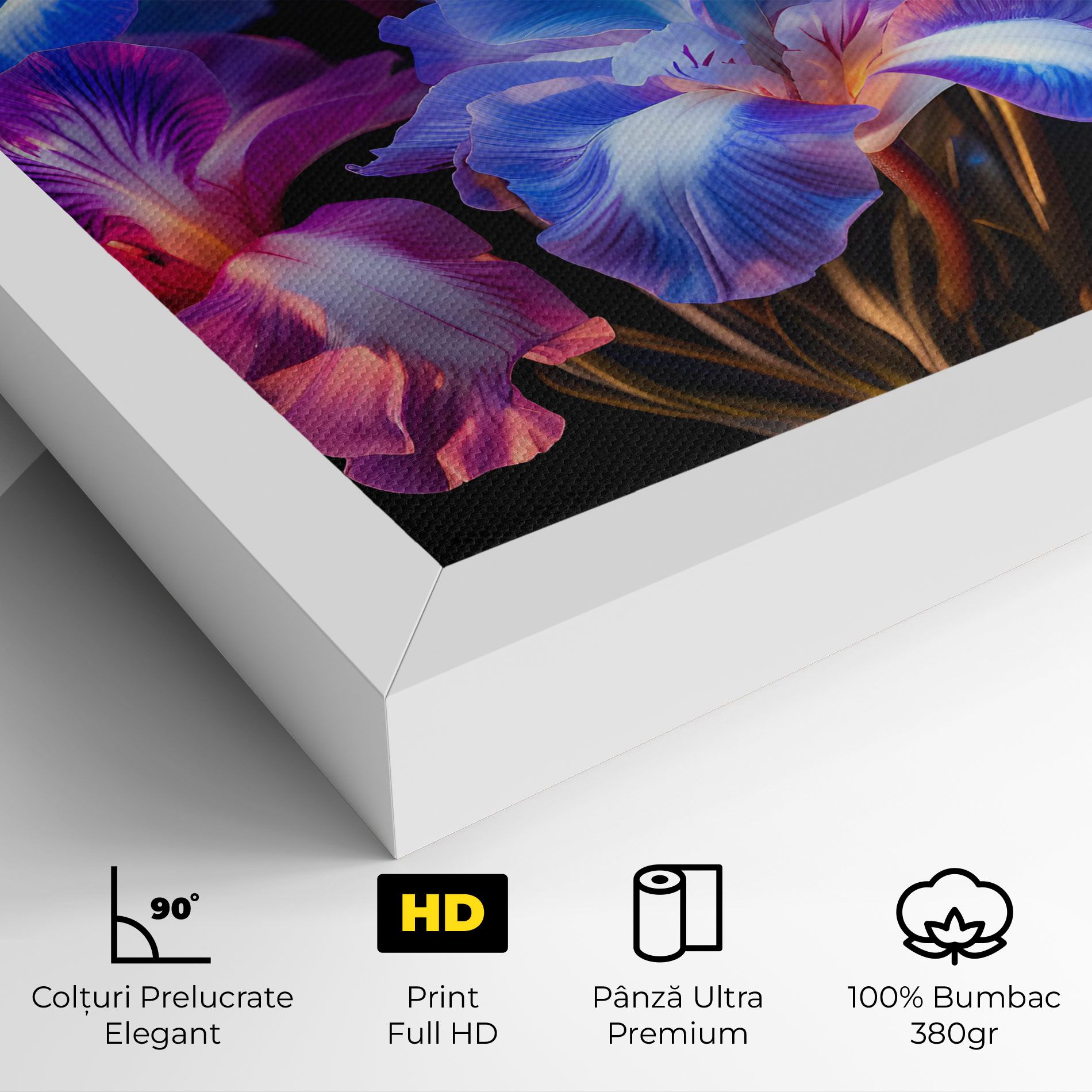 Blue Light Iris mockup 4