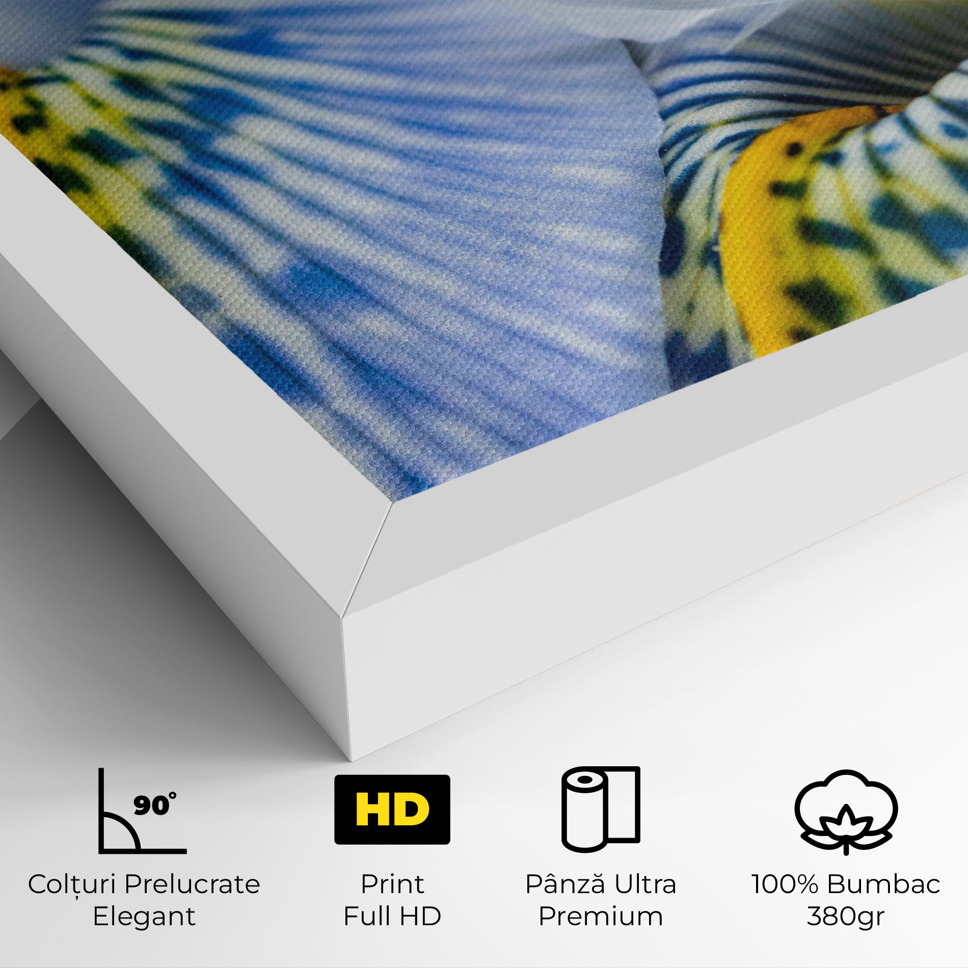 Blue Yellow Iris mockup 4