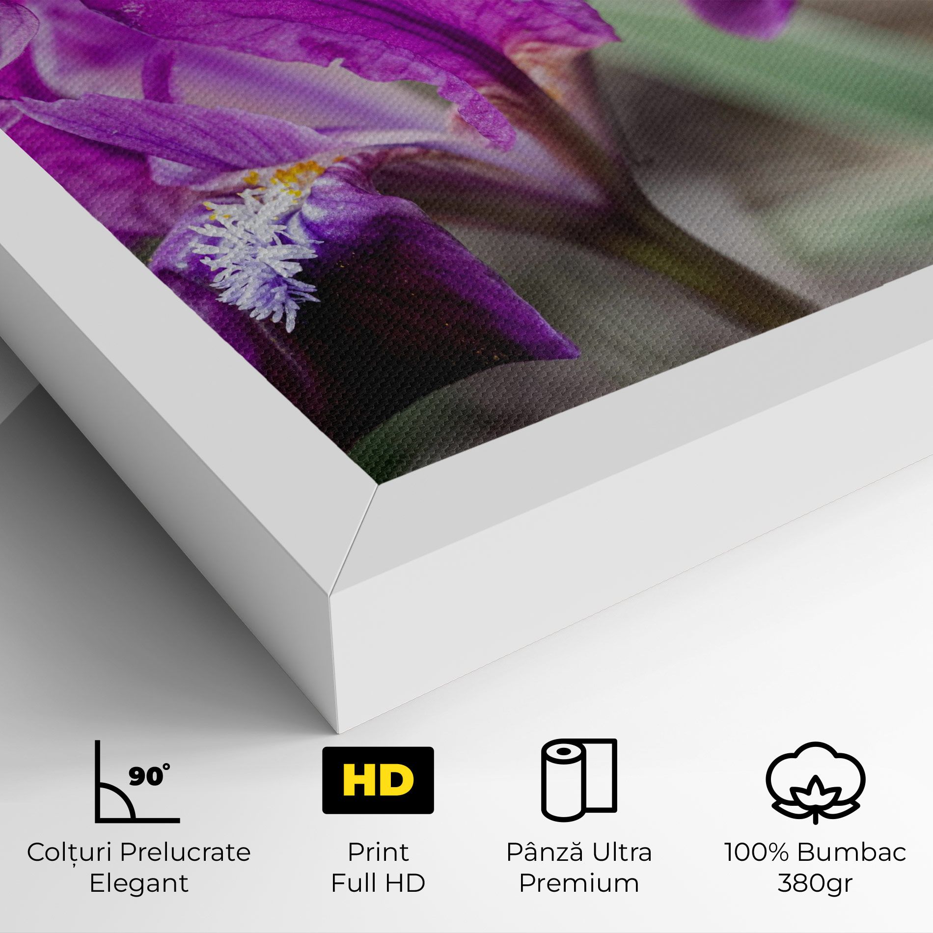 Dark Pink Iris mockup 4